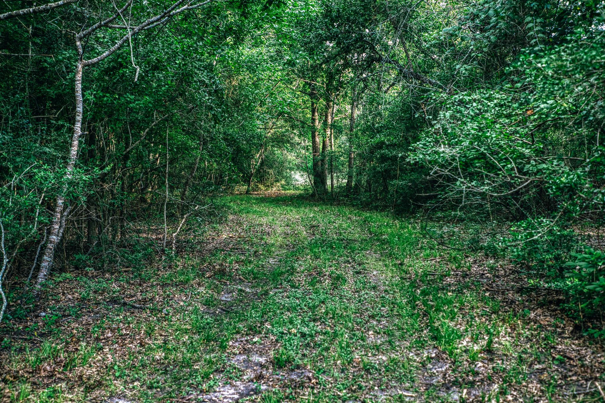 11755 Puddin Ln Property Photo 9