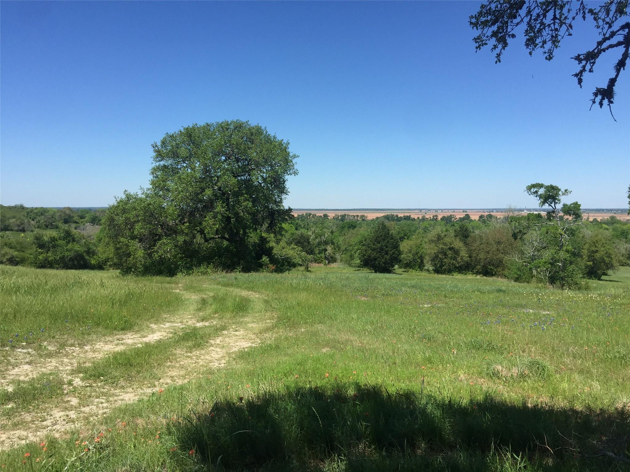 11755 Puddin Ln Property Photo 19
