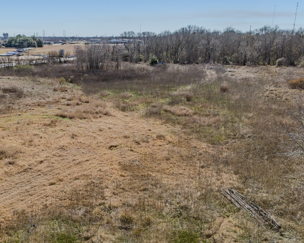 0 N Hwy 60 Property Photo 5