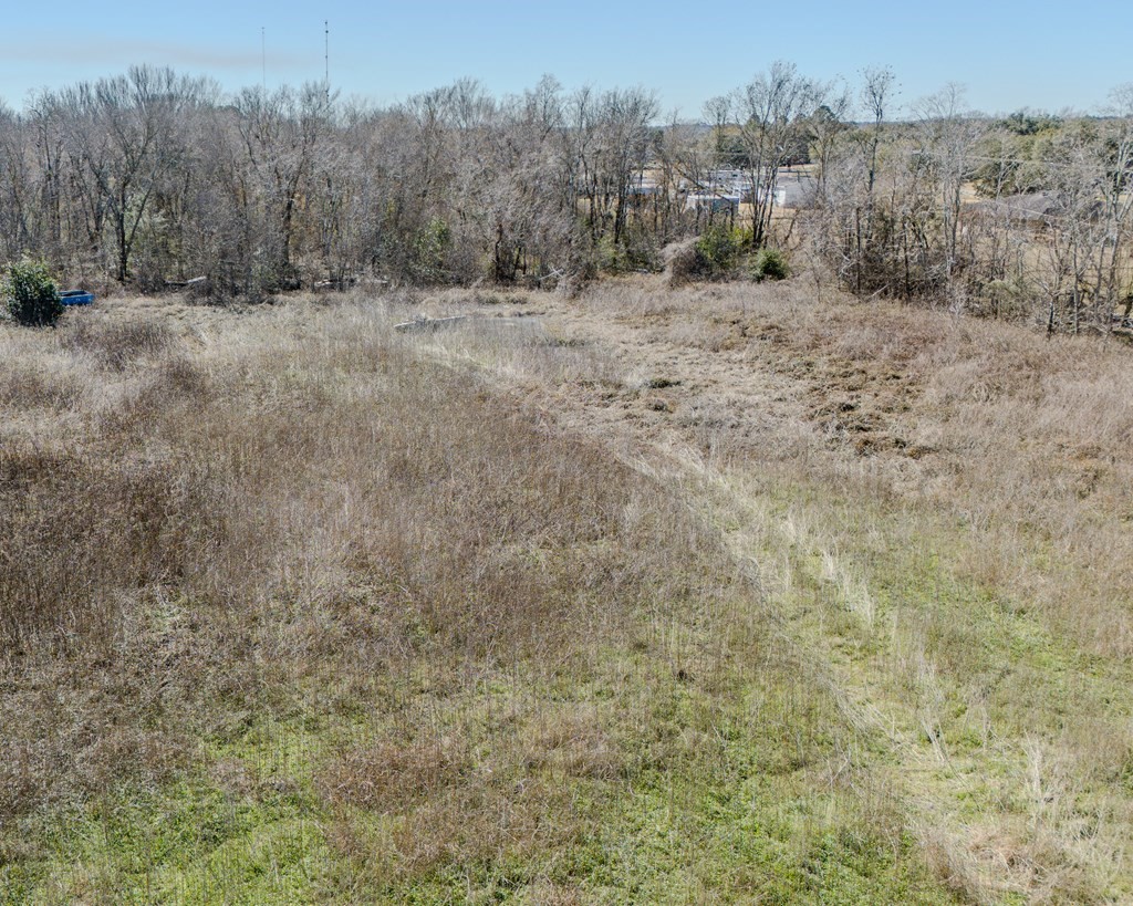 0 N Hwy 60 Property Photo 9