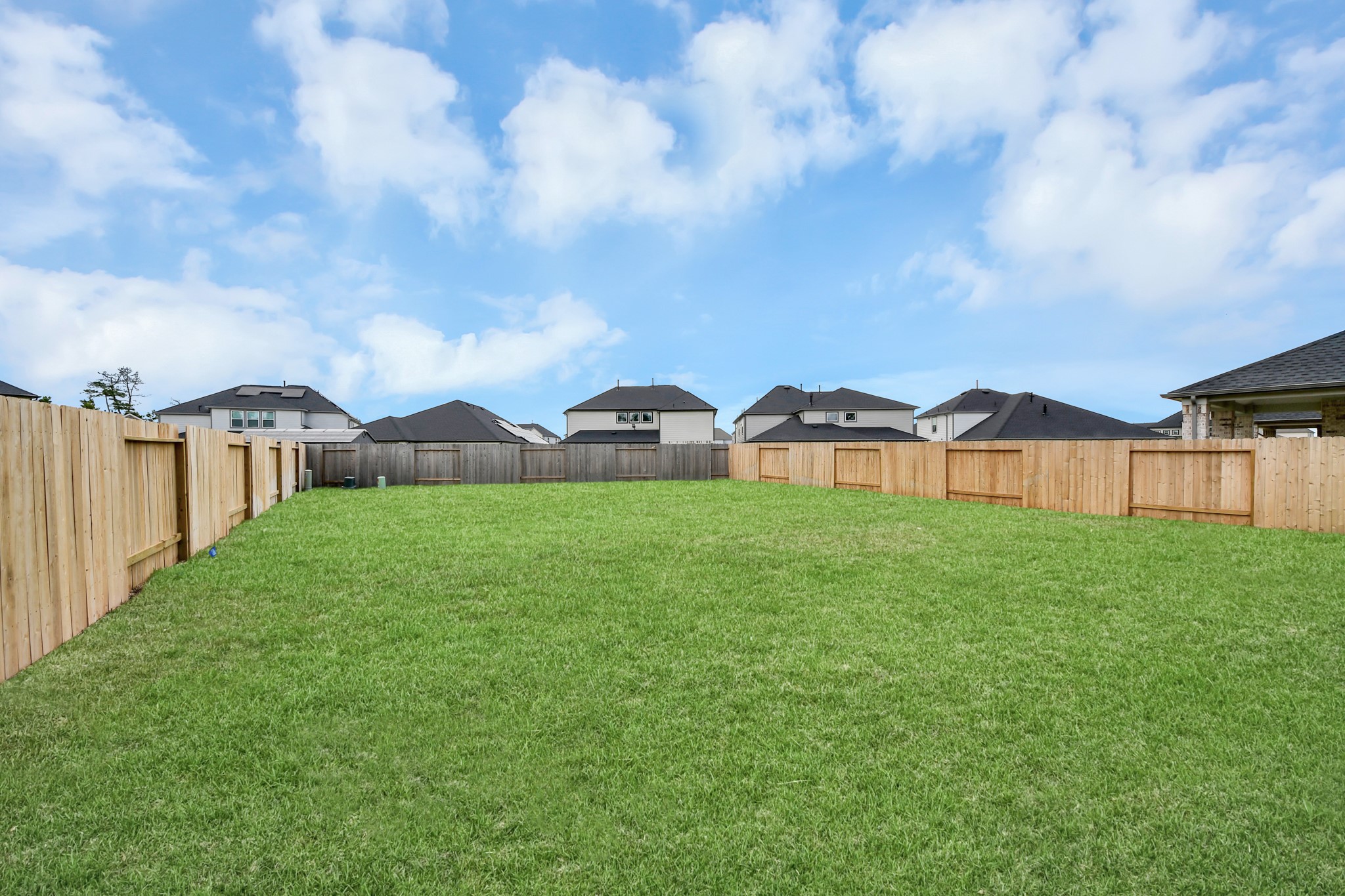 3102 Native Spring Drive Property Photo 44