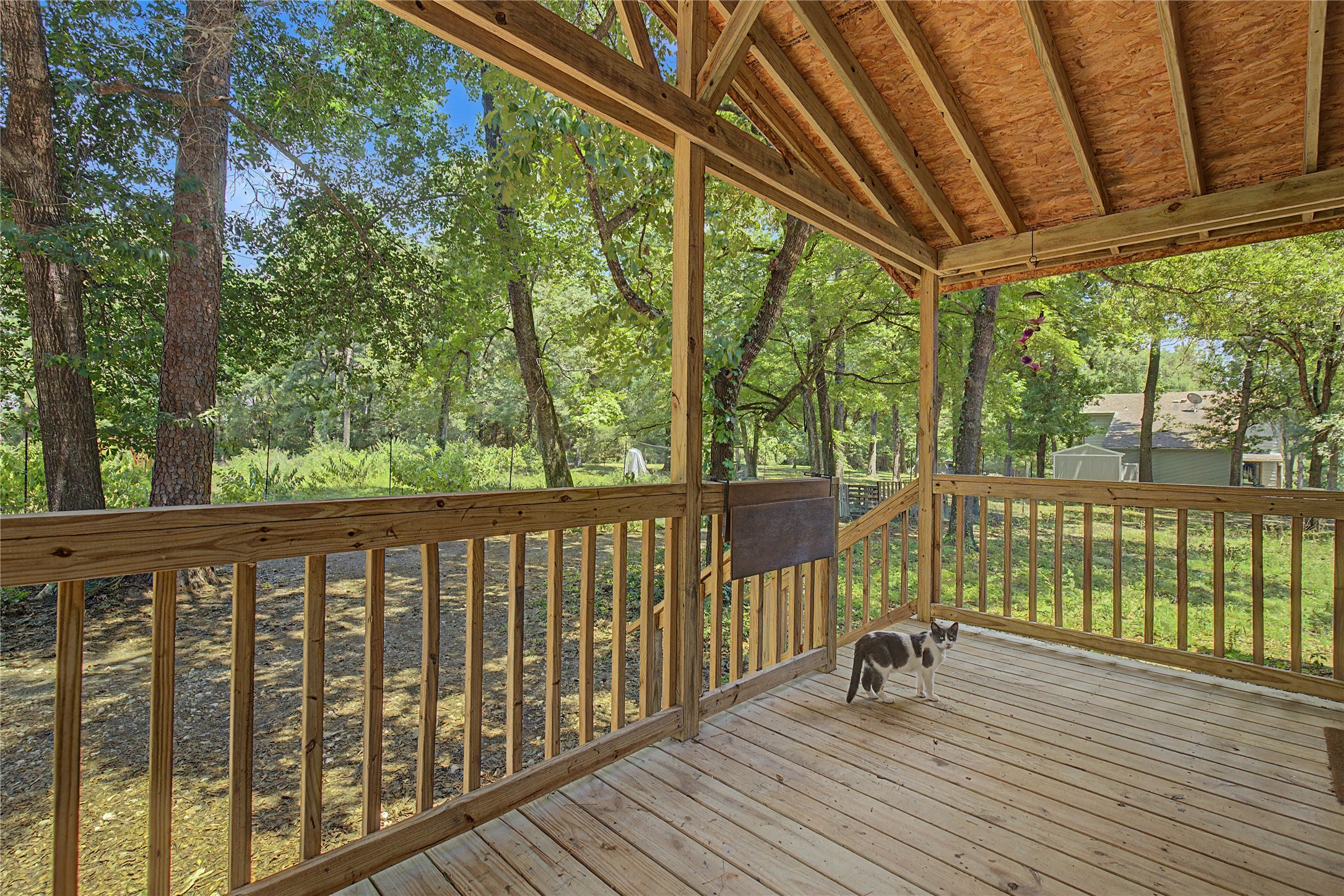 293 Robinson Creek Road A Property Photo 3