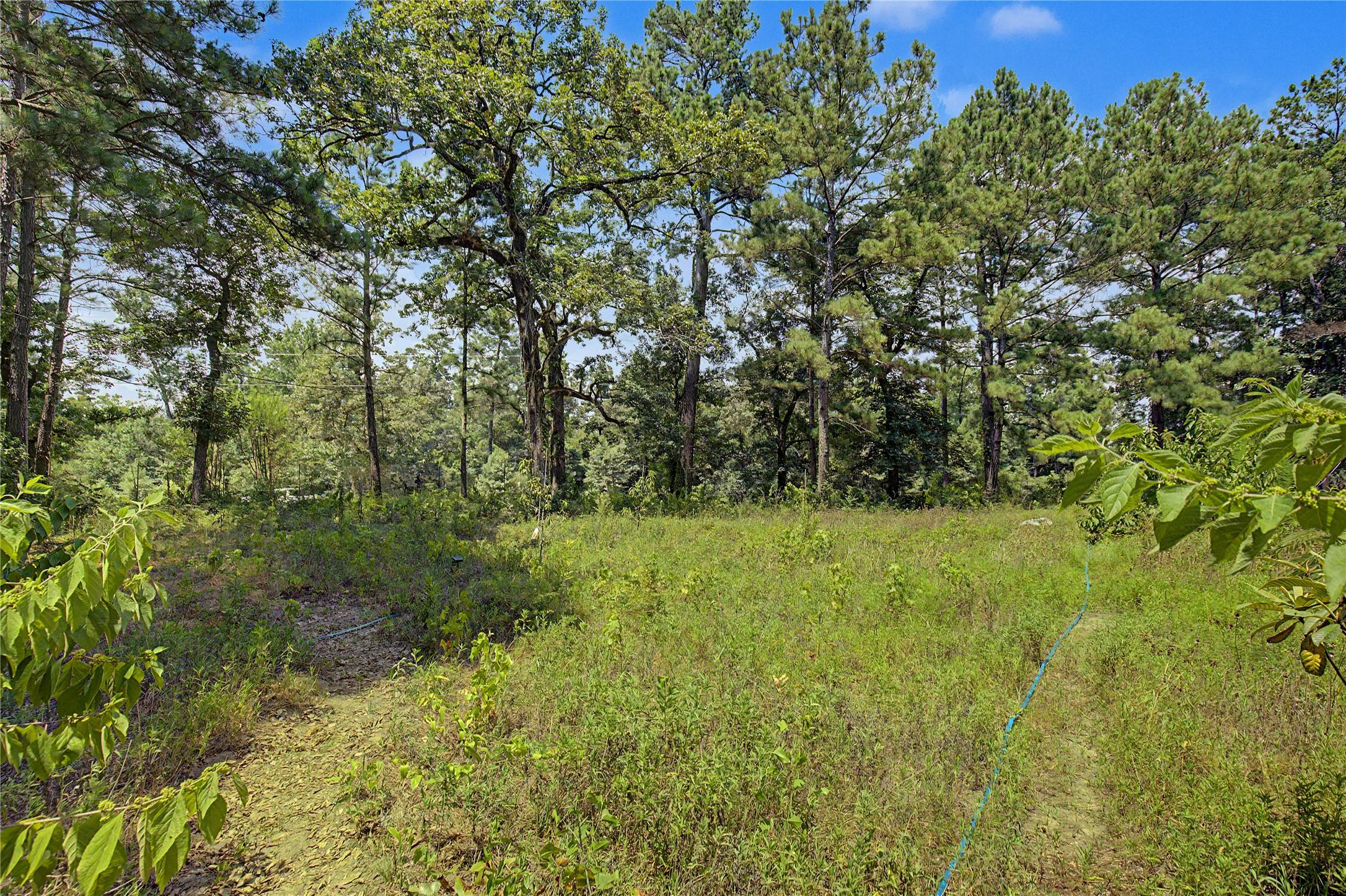 293 Robinson Creek Road A Property Photo 27