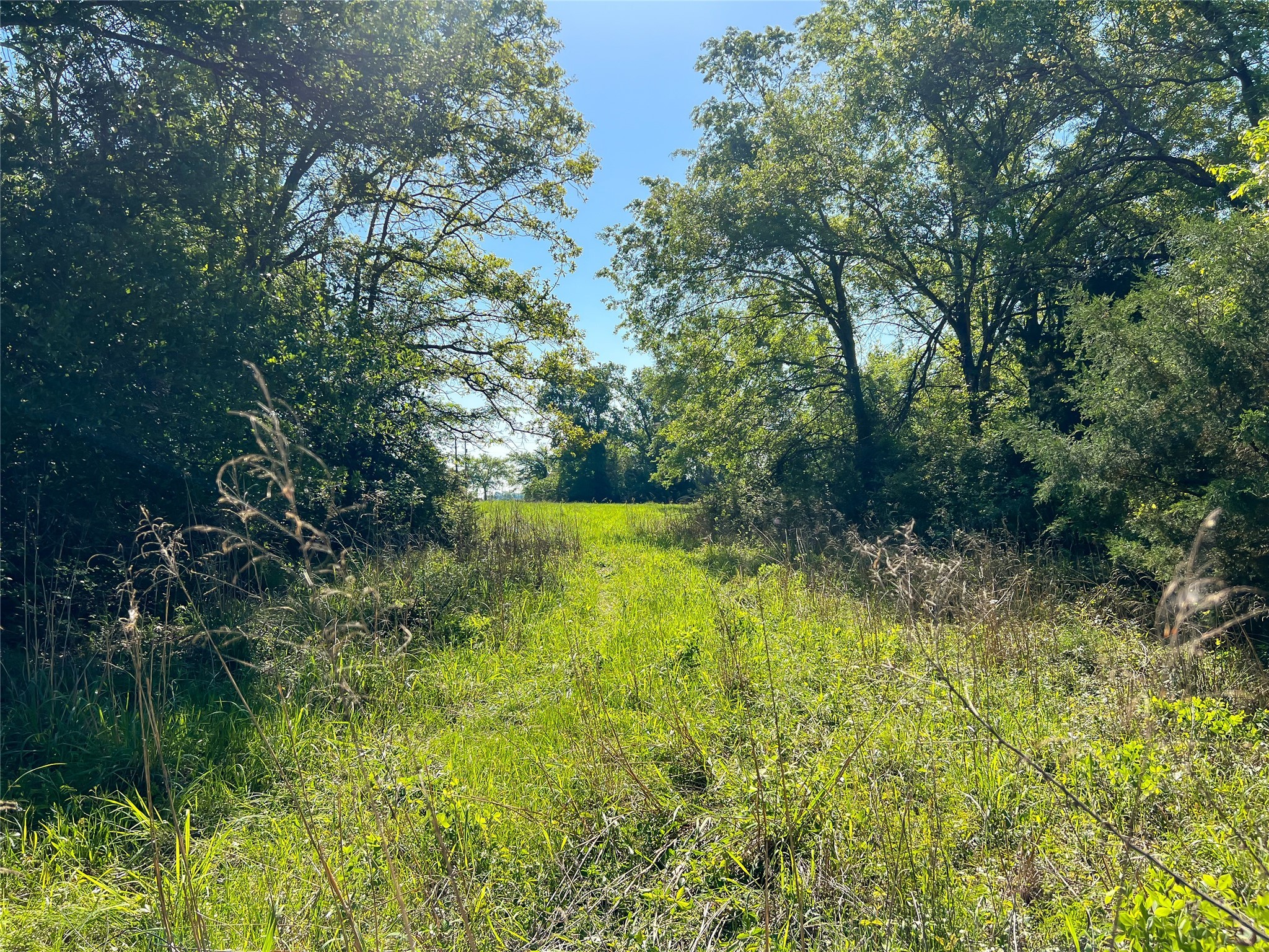 Na Cr 344 Property Photo 2