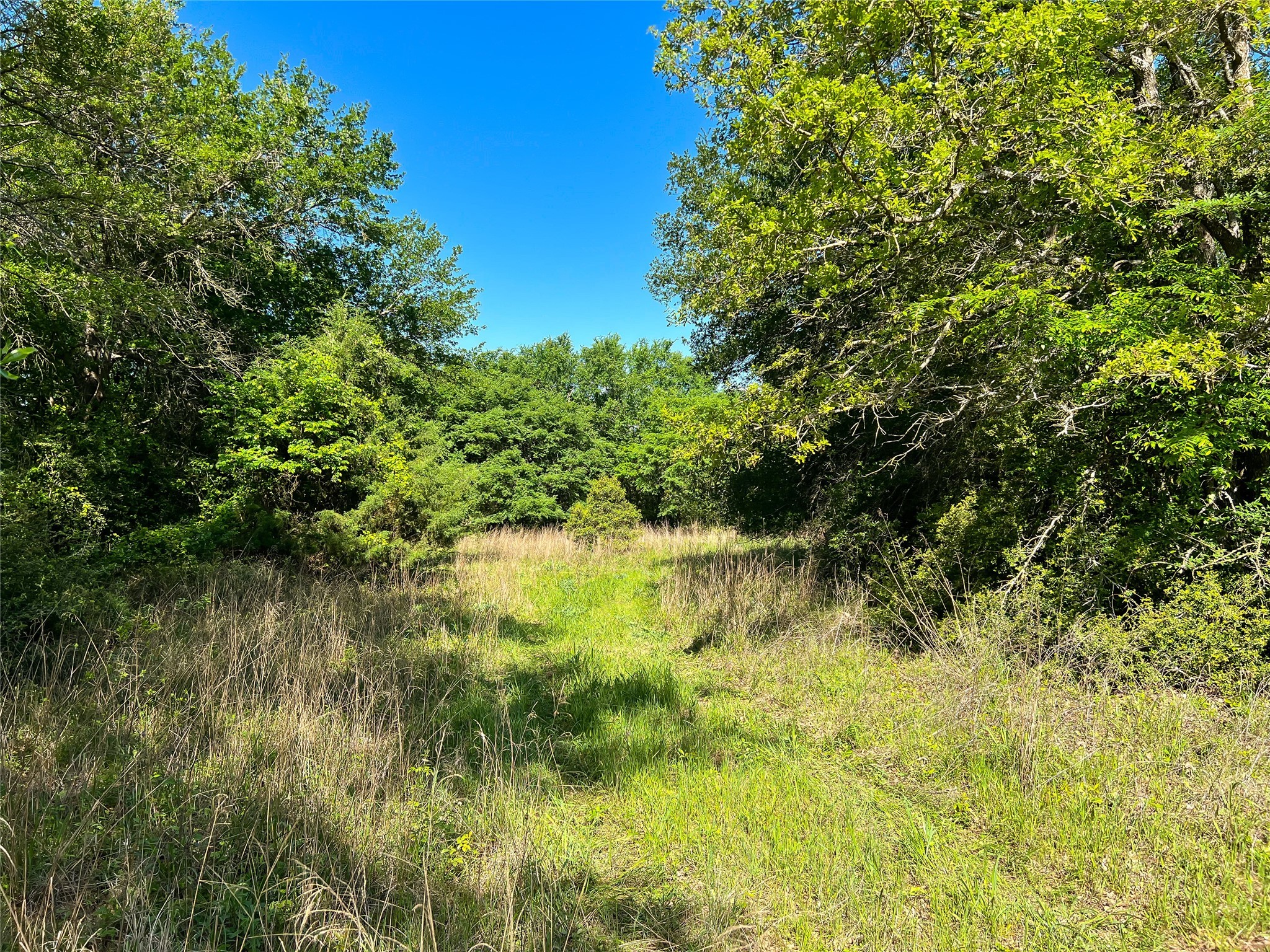 Na Cr 344 Property Photo 3