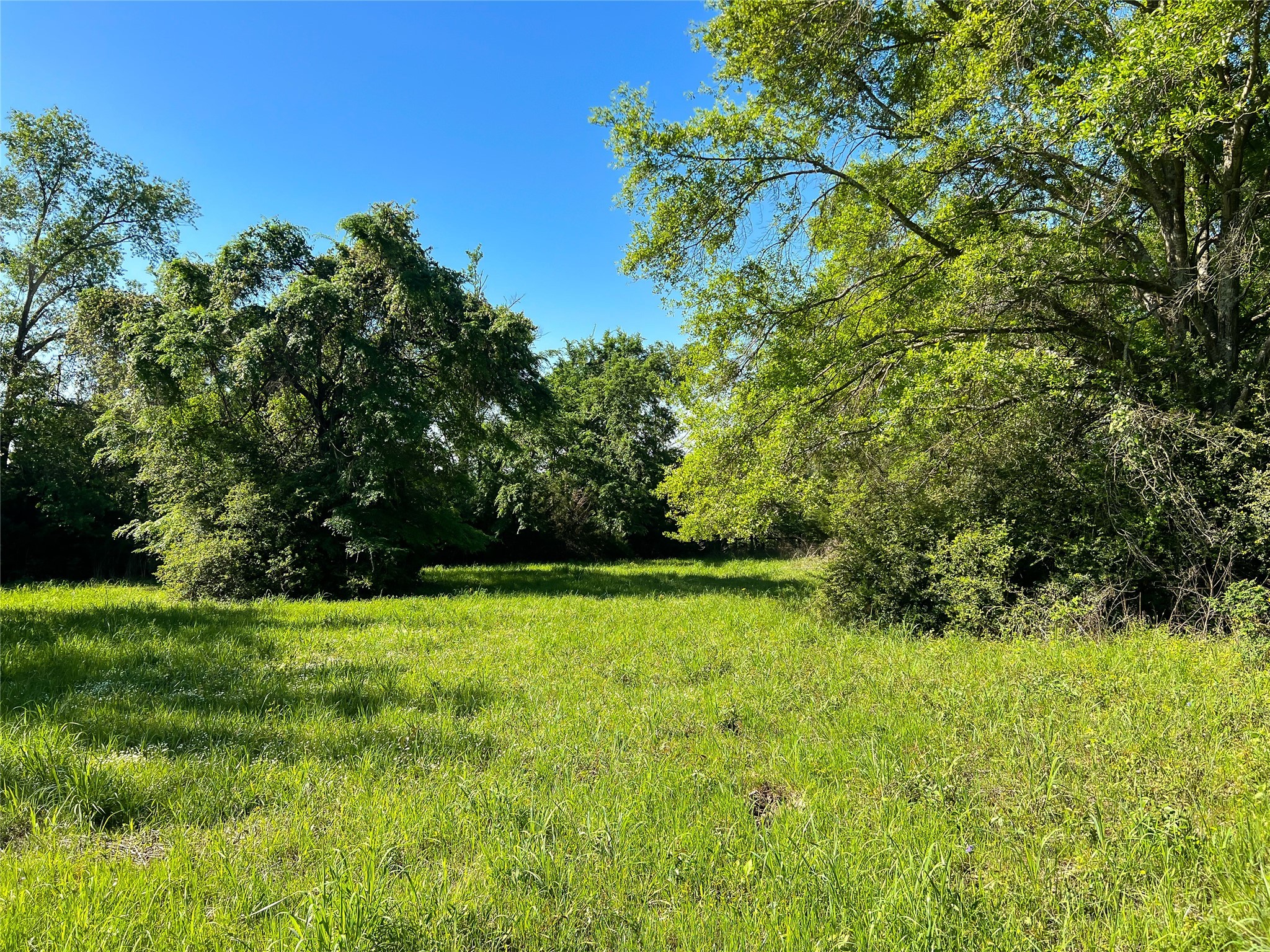 Na Cr 344 Property Photo 5