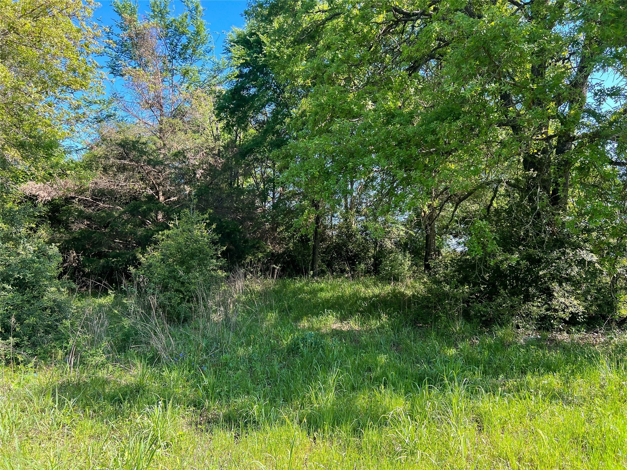 Na Cr 344 Property Photo 7