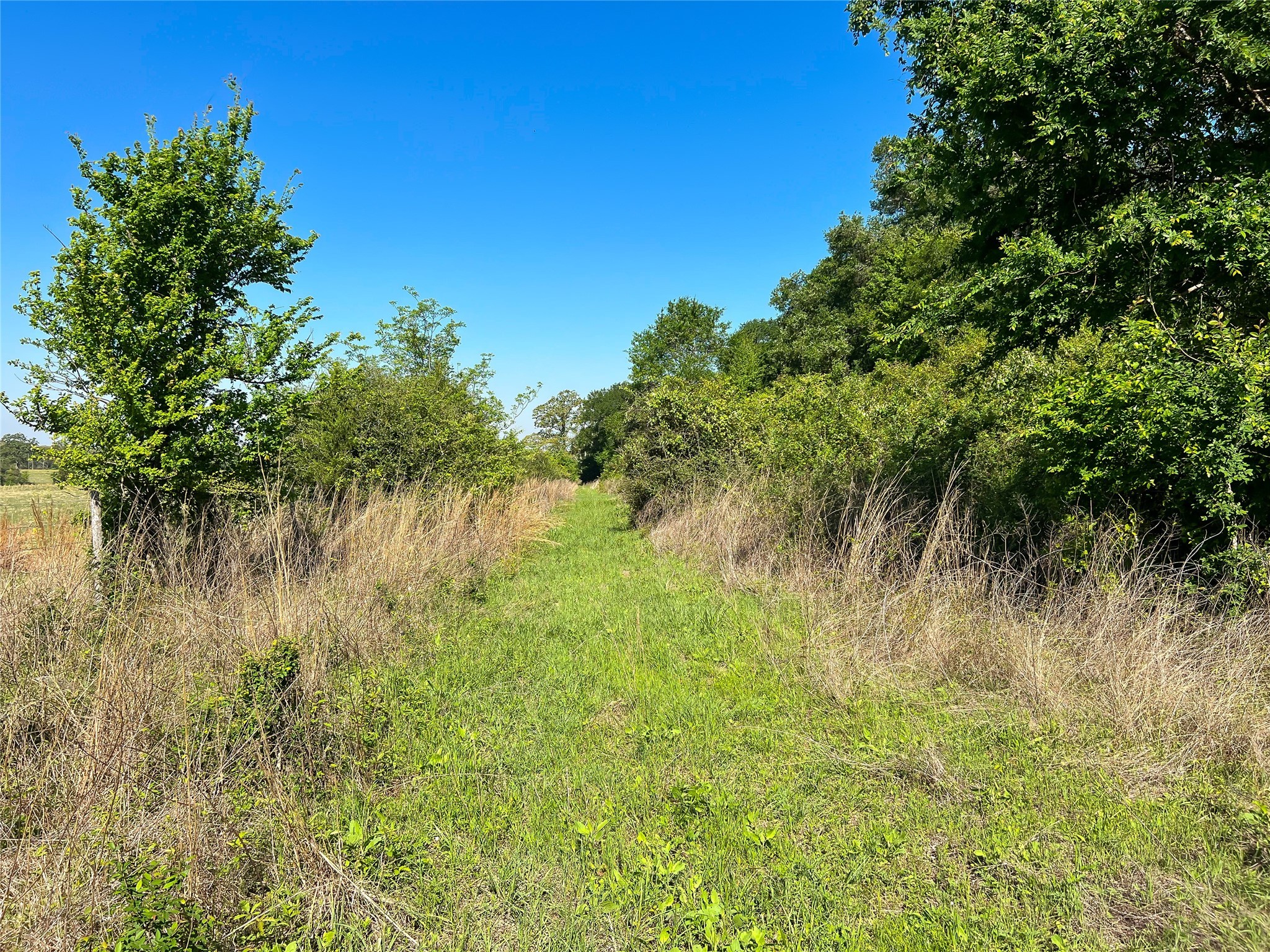 Na Cr 344 Property Photo 8
