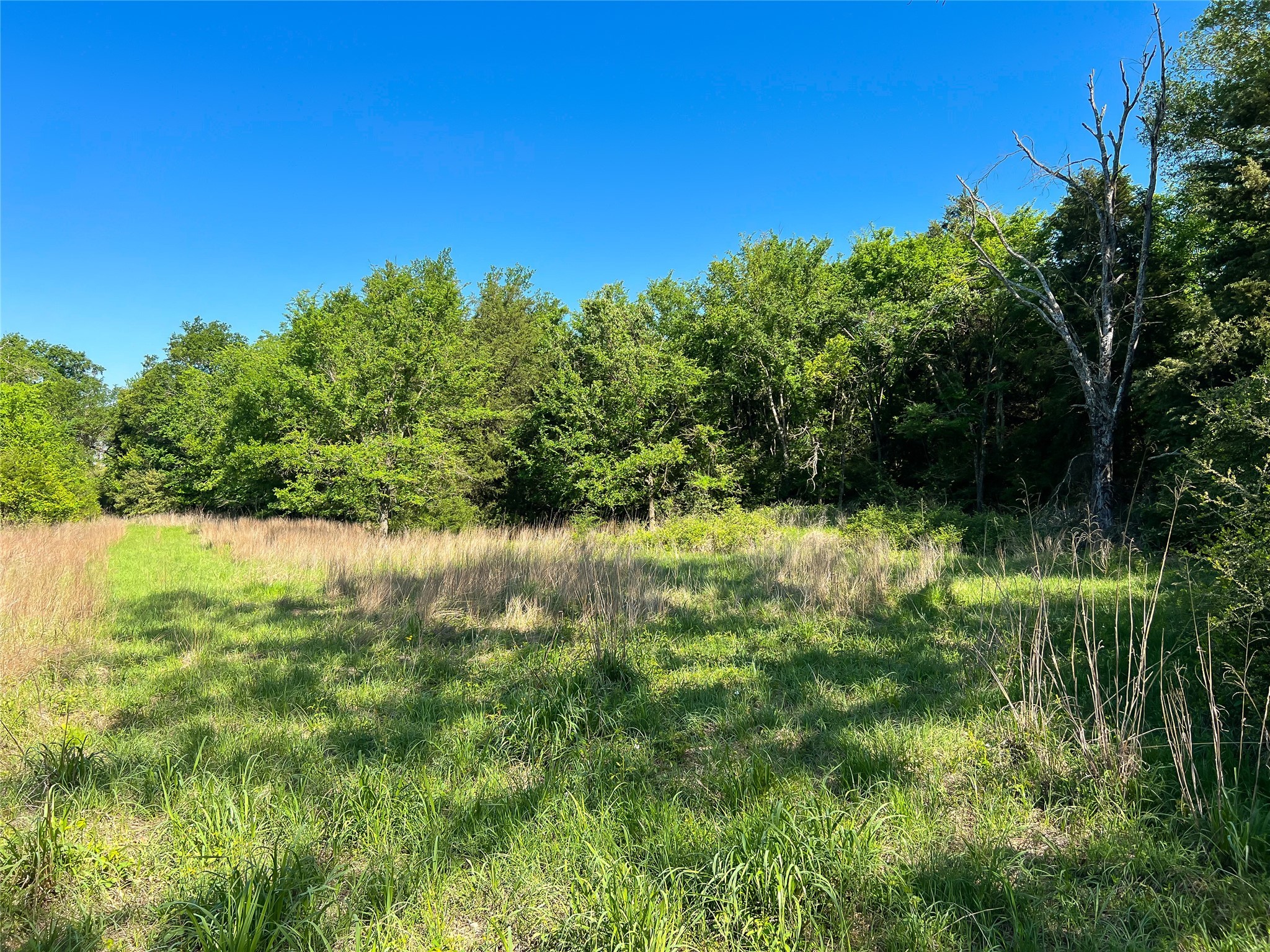 Na Cr 344 Property Photo 9