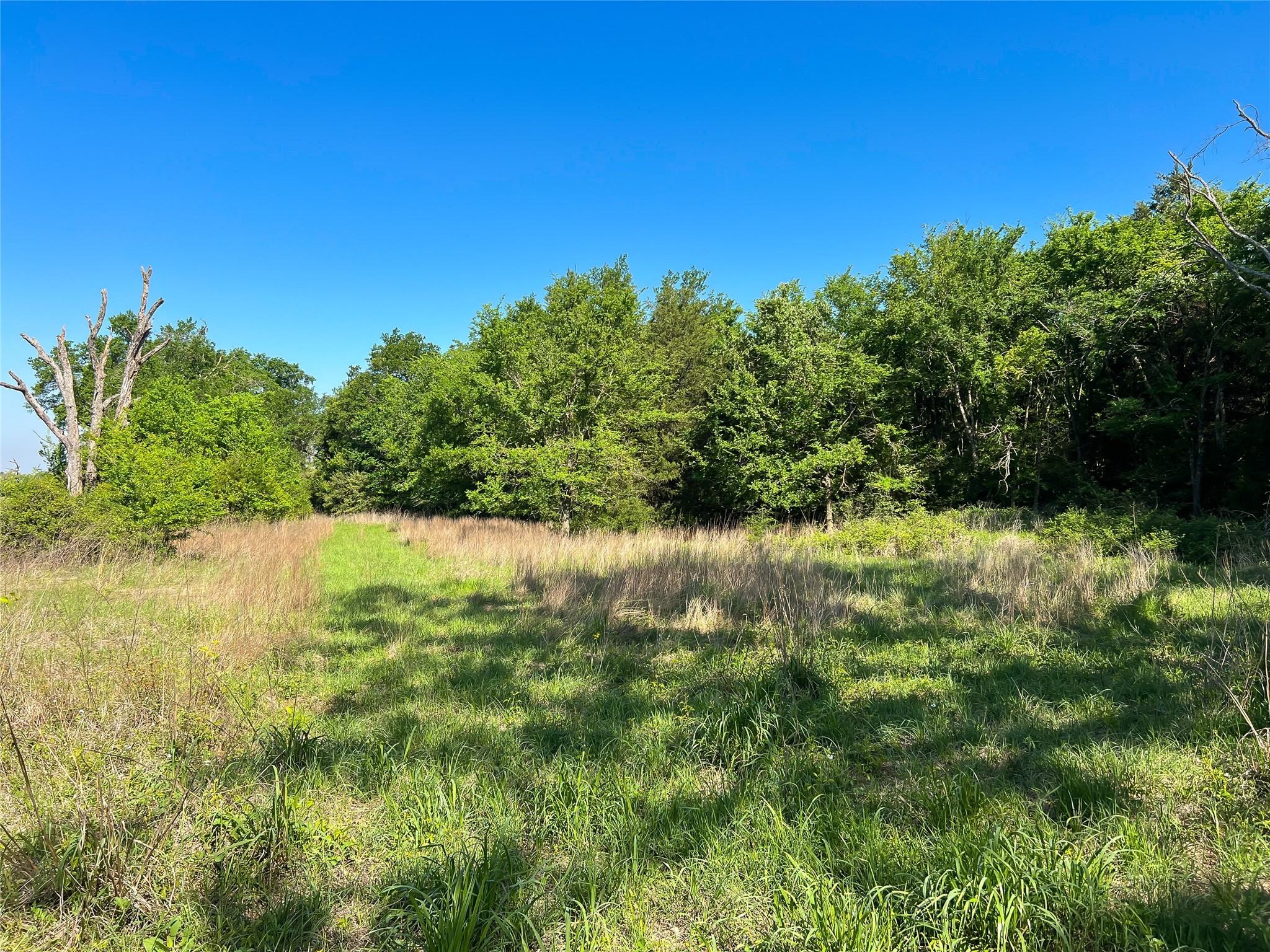 Na Cr 344 Property Photo 10