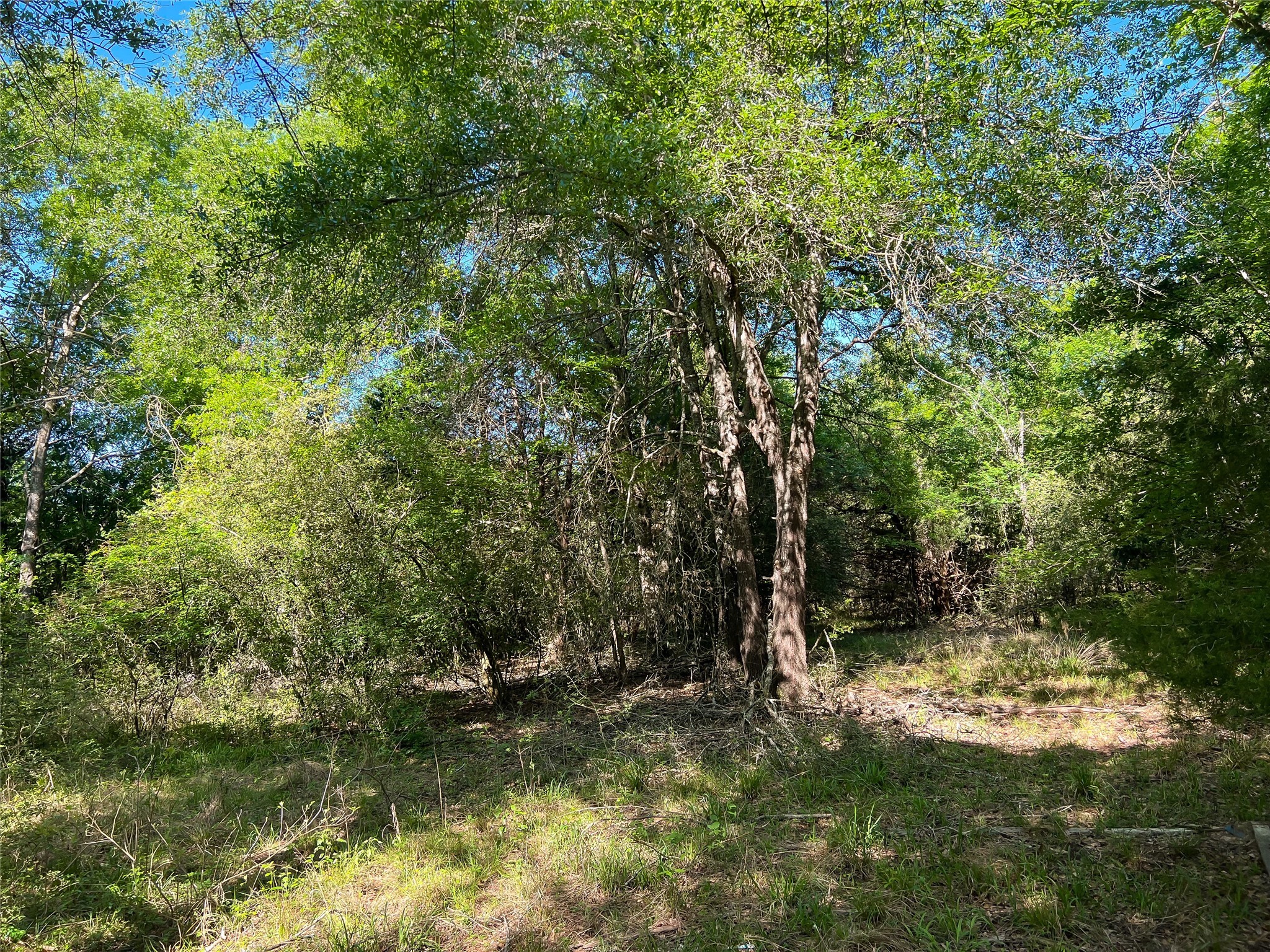Na Cr 344 Property Photo 11
