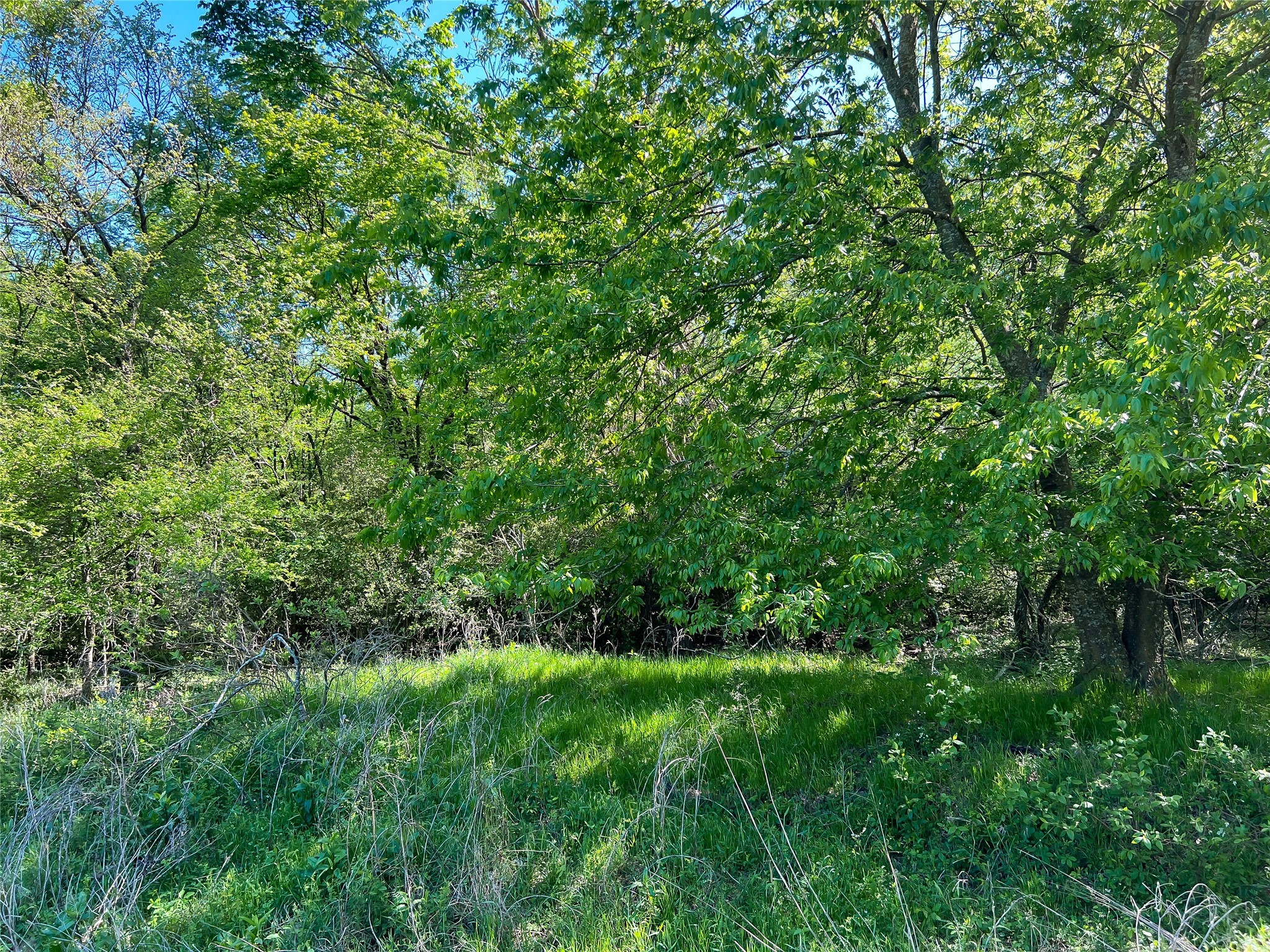 Na Cr 344 Property Photo 12