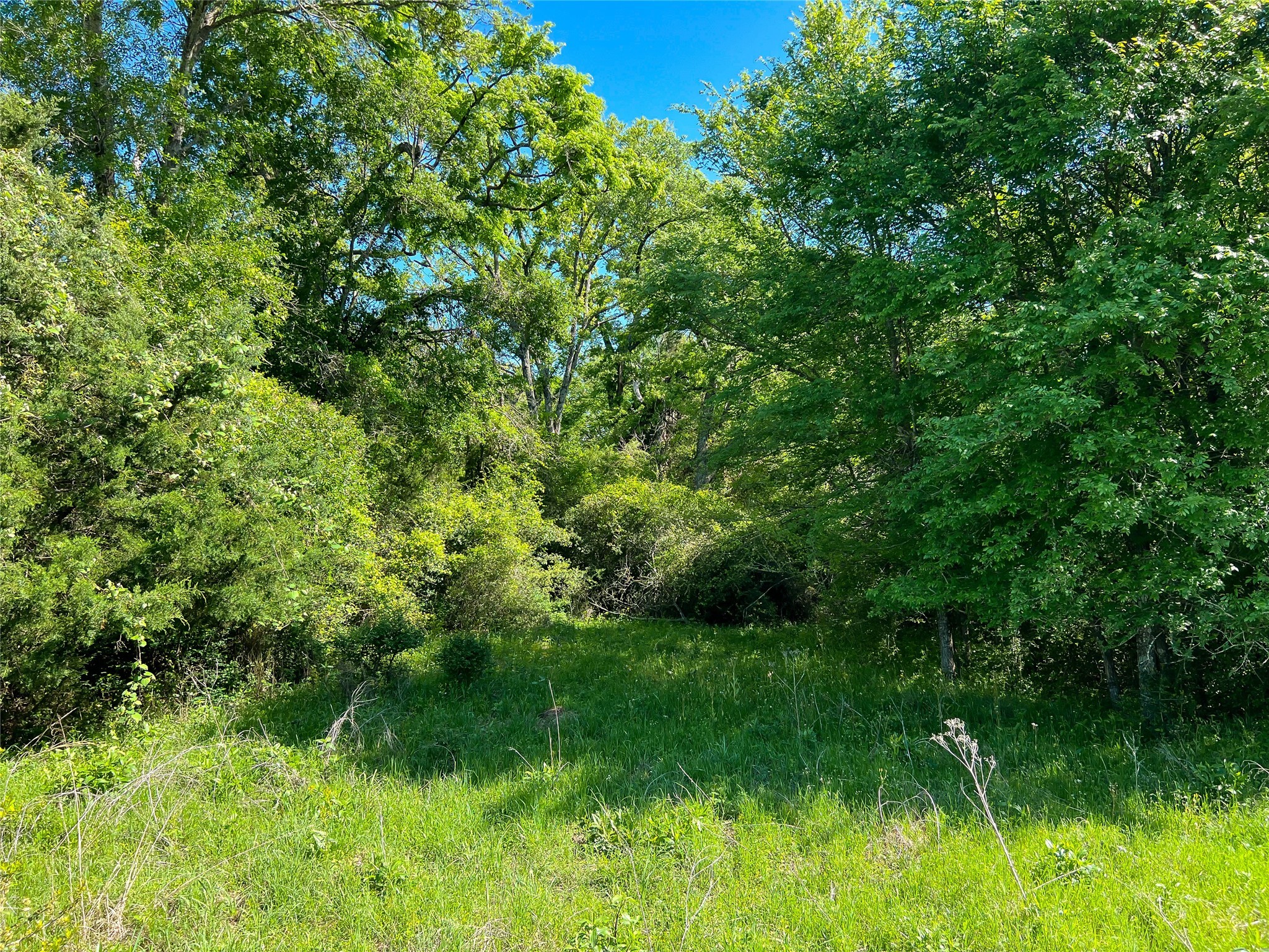 Na Cr 344 Property Photo 13