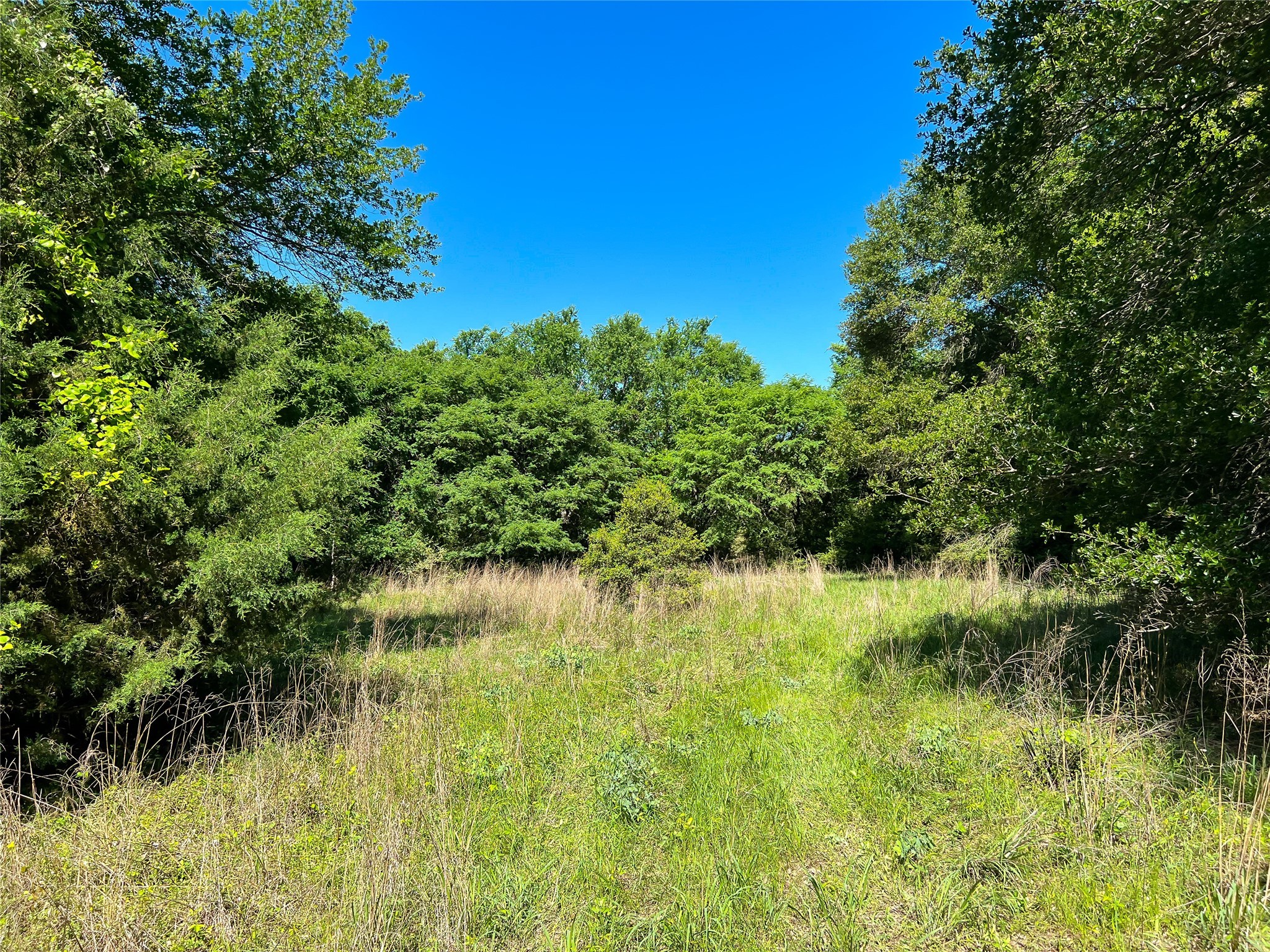 Na Cr 344 Property Photo 14