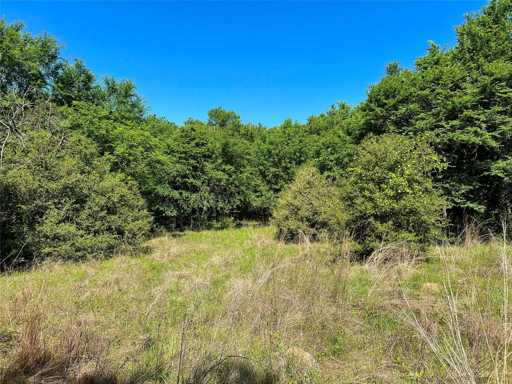 Na Cr 344 Property Photo 15