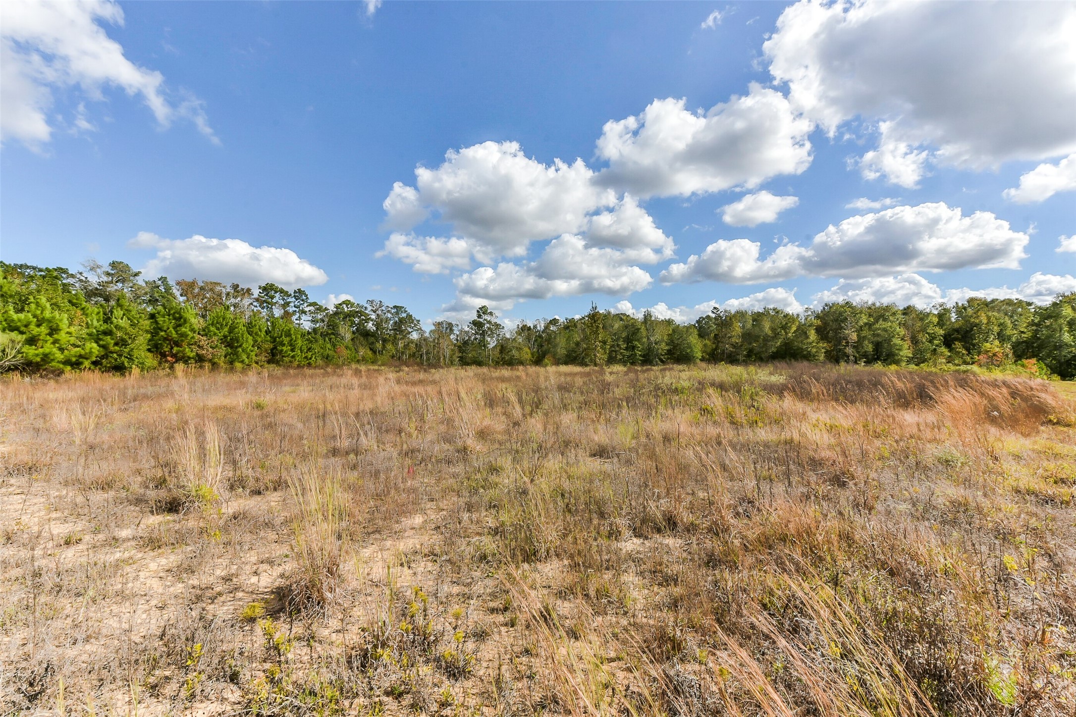 71 Road 5260 Property Photo 6