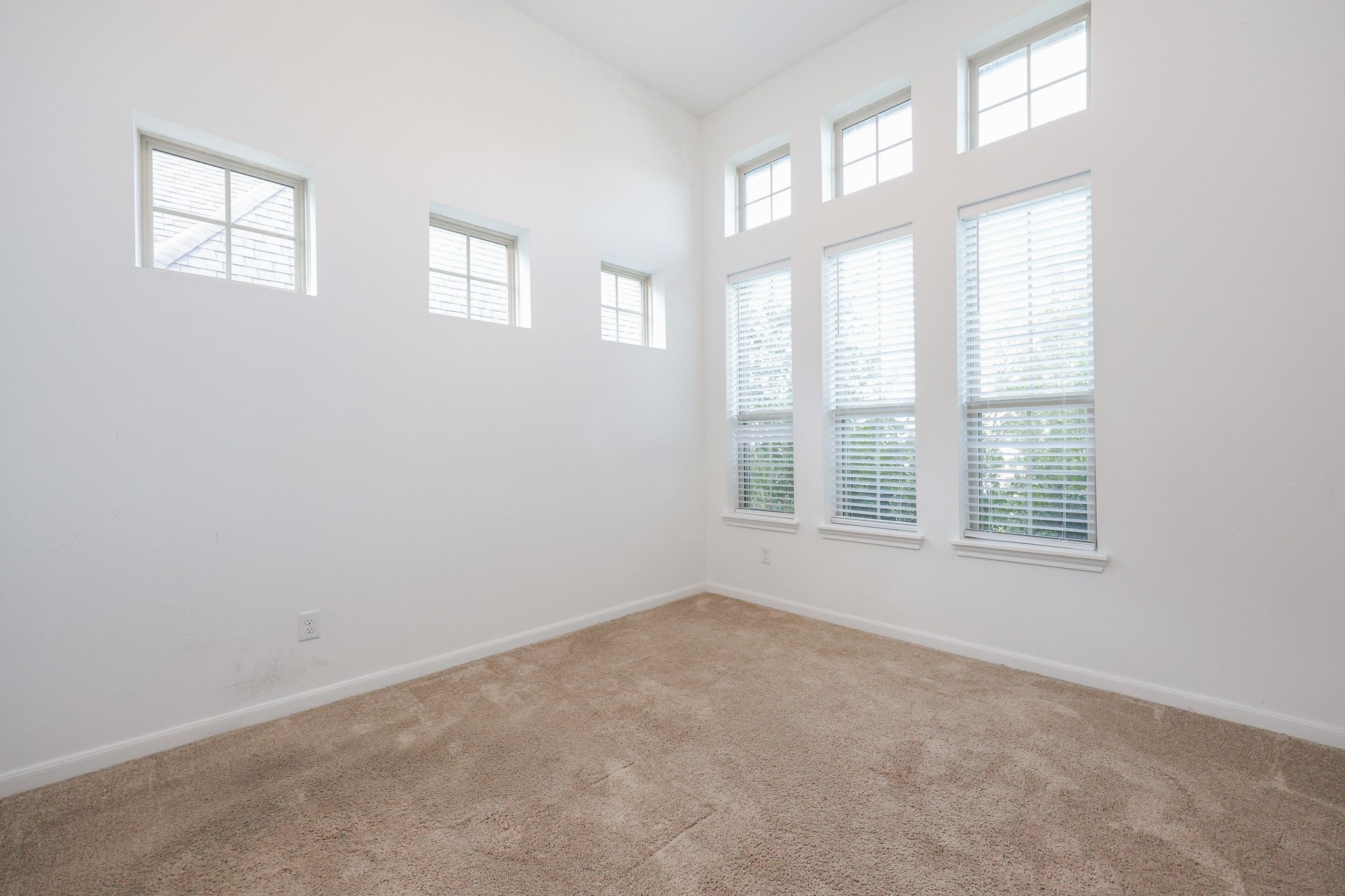 2107 Brooke Avery Drive Property Photo 6