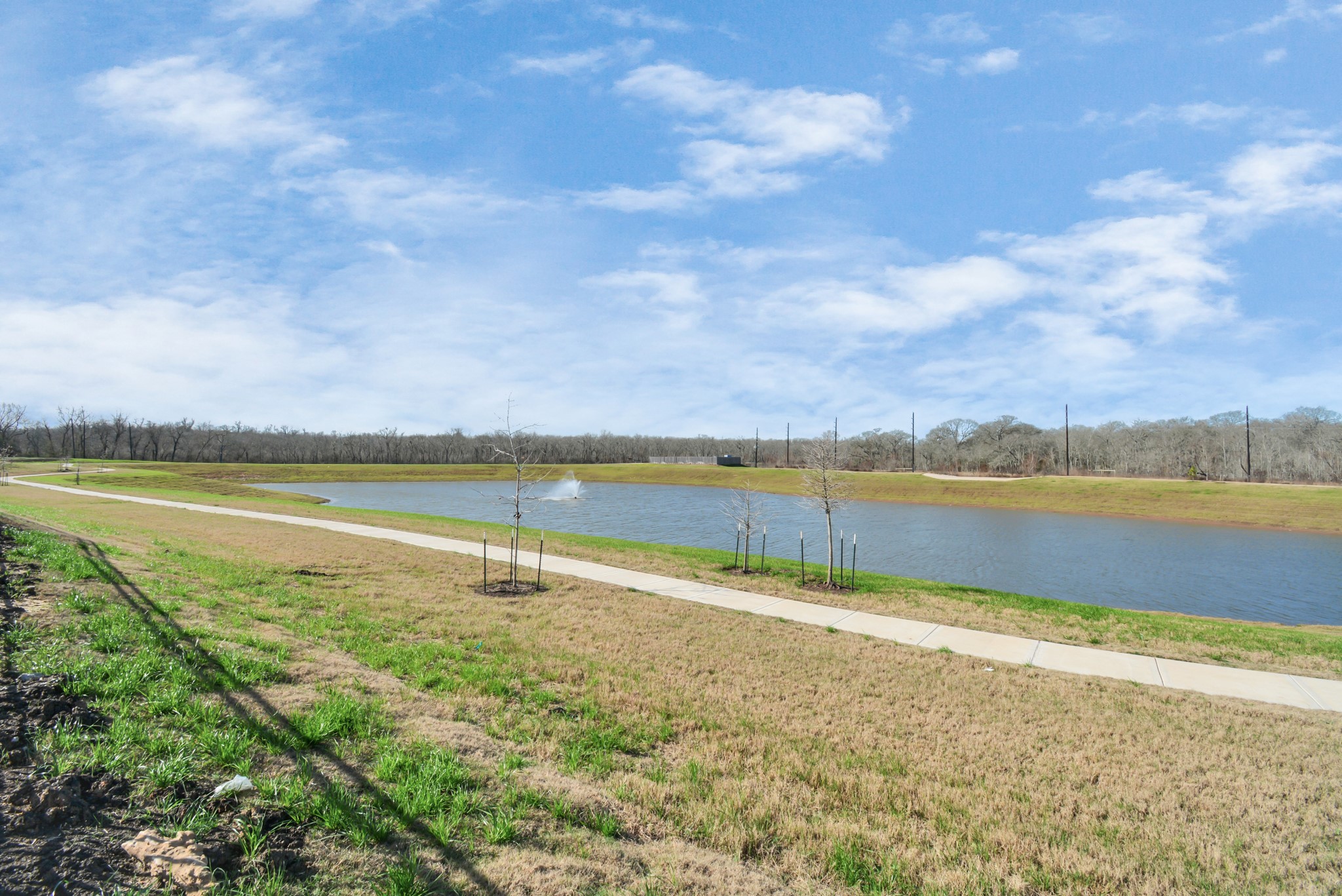 4710 Austin Landing Property Photo 49
