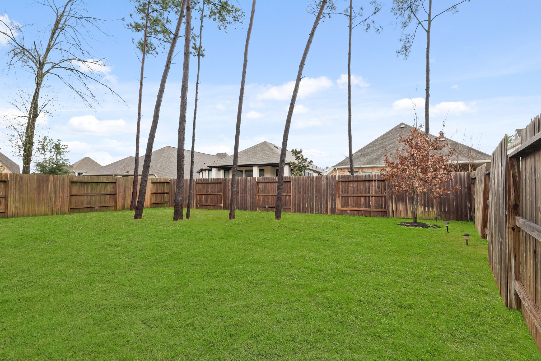 17114 Mystic River Lane Property Photo 16