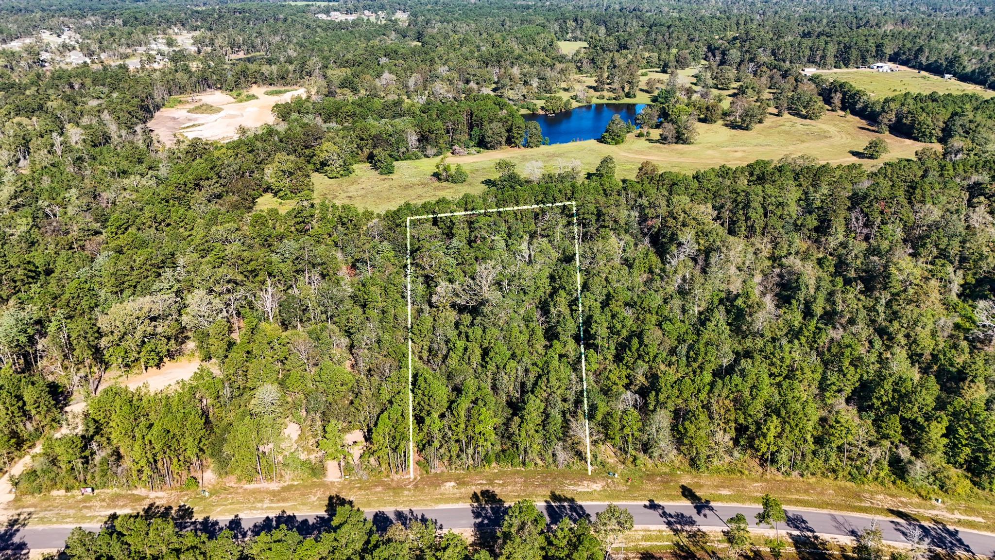 15821 Ridge Rock Road Property Photo 6