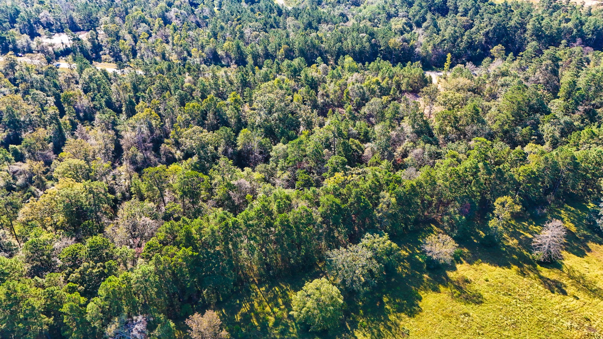15821 Ridge Rock Road Property Photo 11
