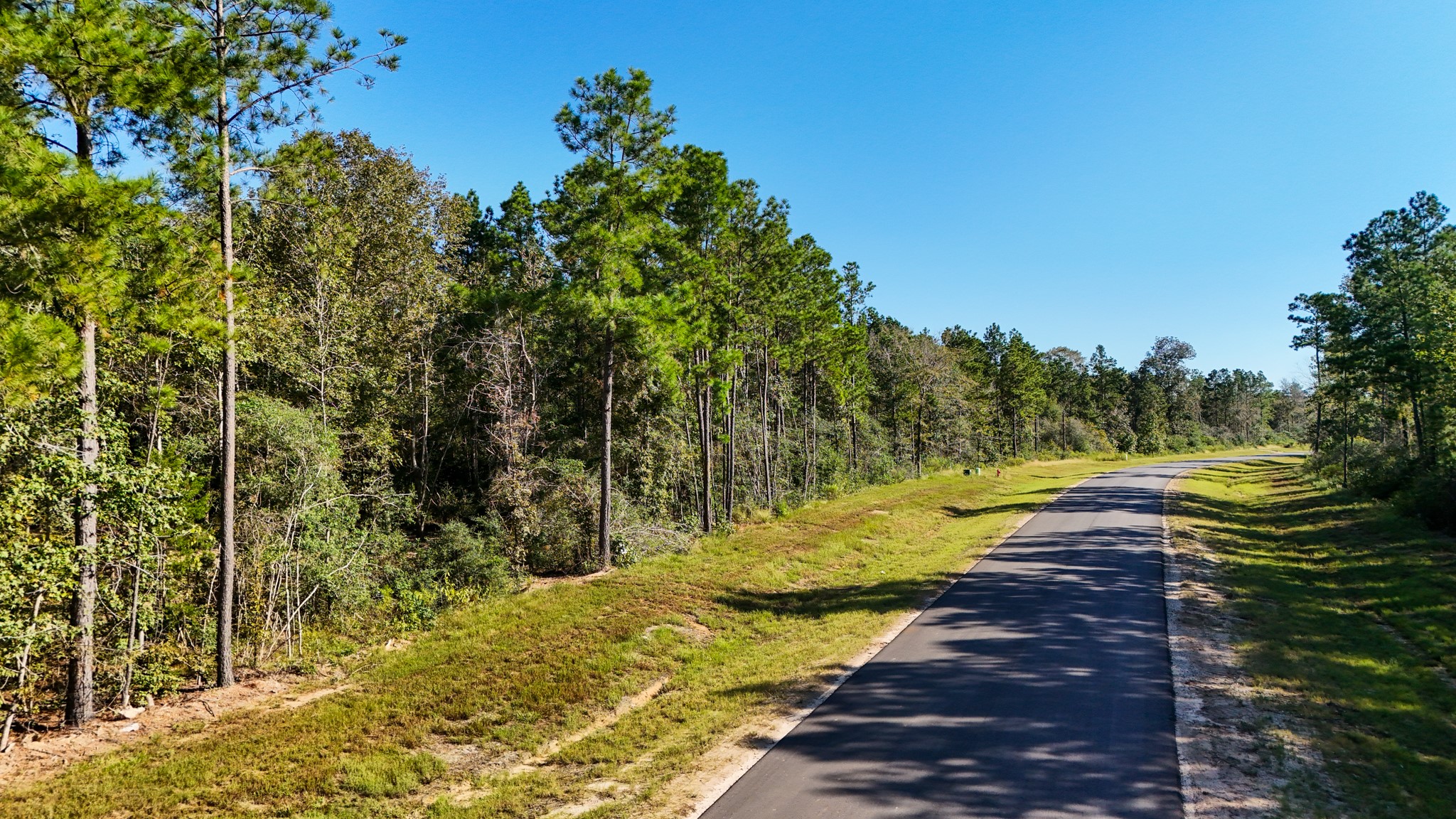 15821 Ridge Rock Road Property Photo 16