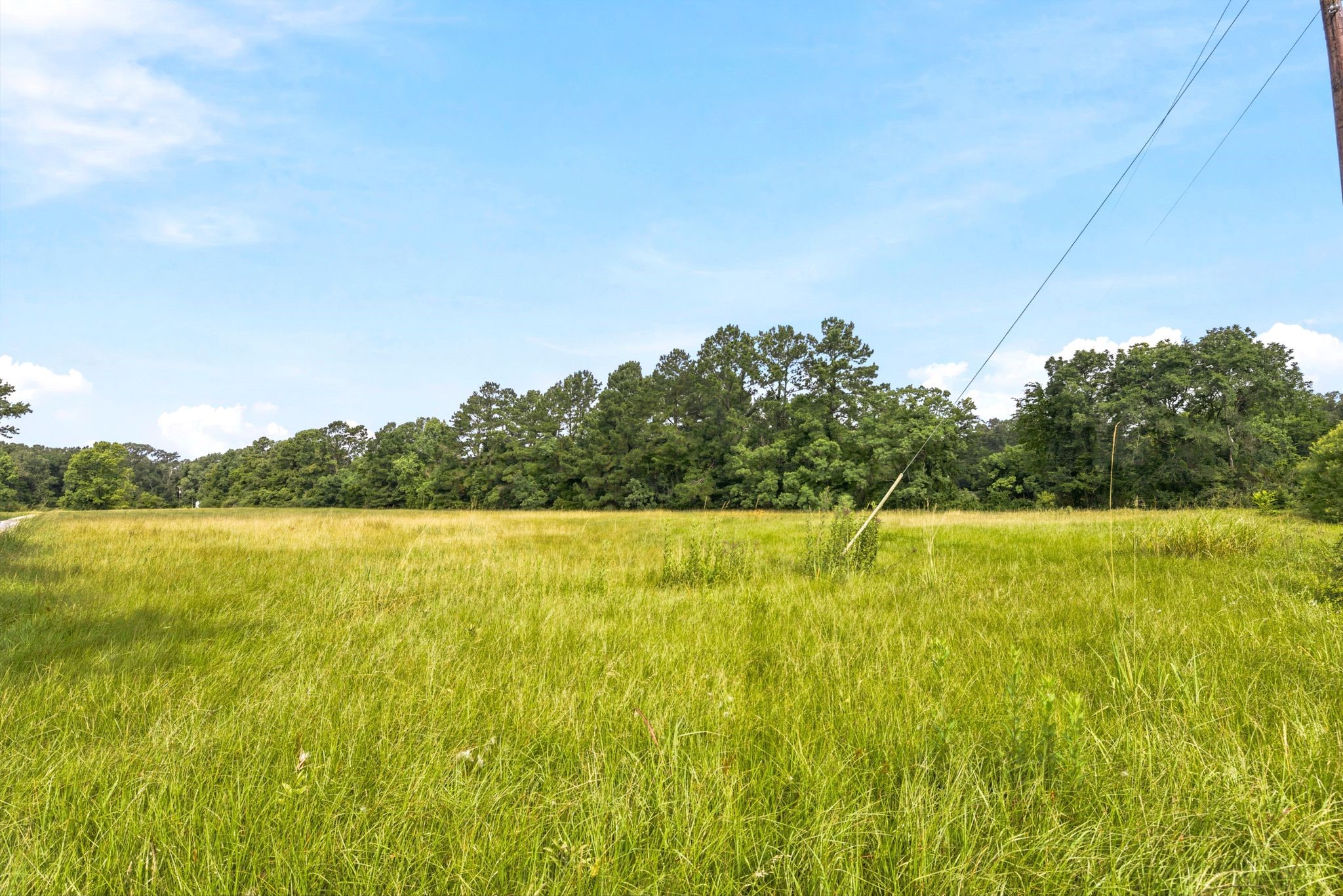 Lot 1 Mount Zion Road Property Photo 4