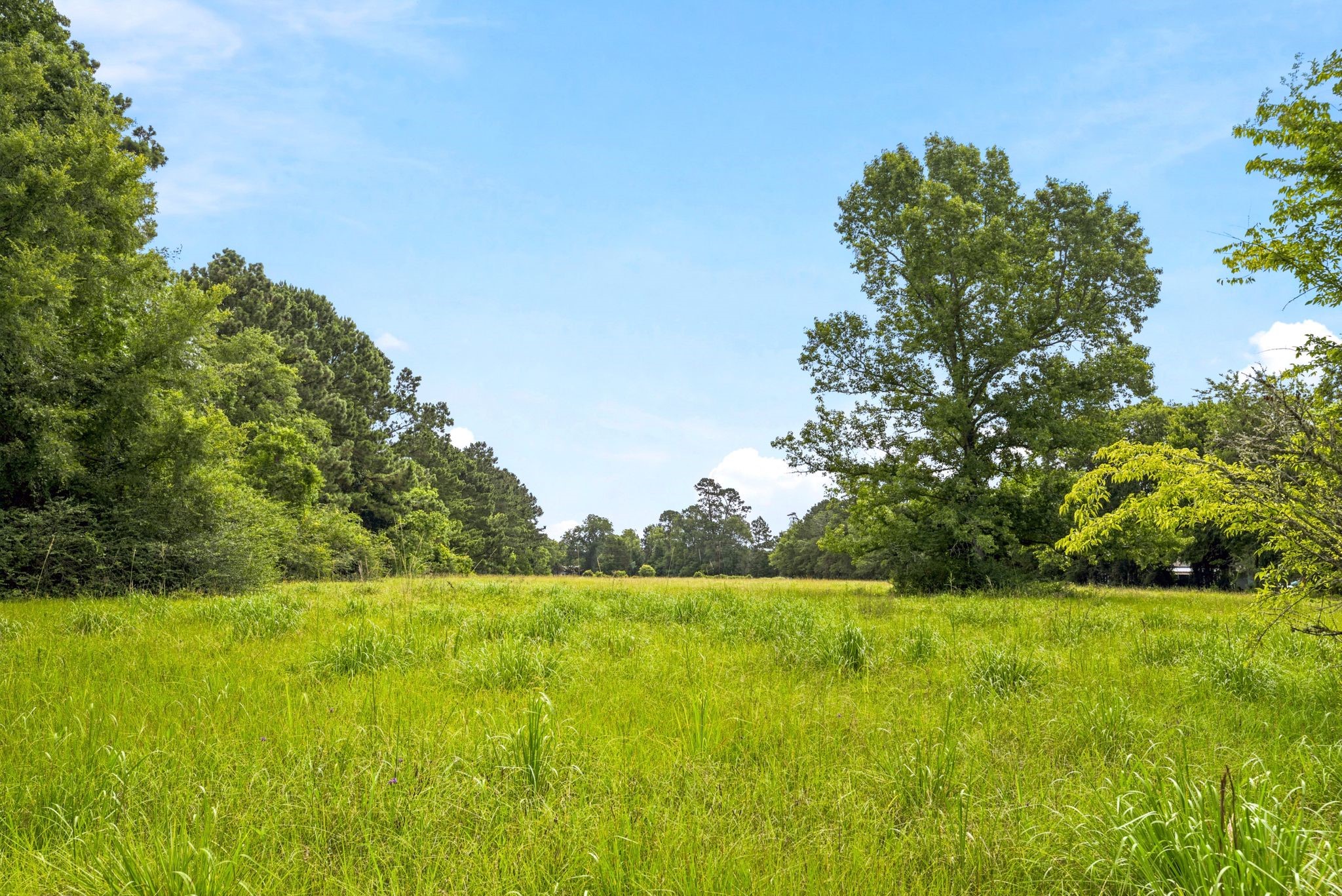 Lot 1 Mount Zion Road Property Photo 5