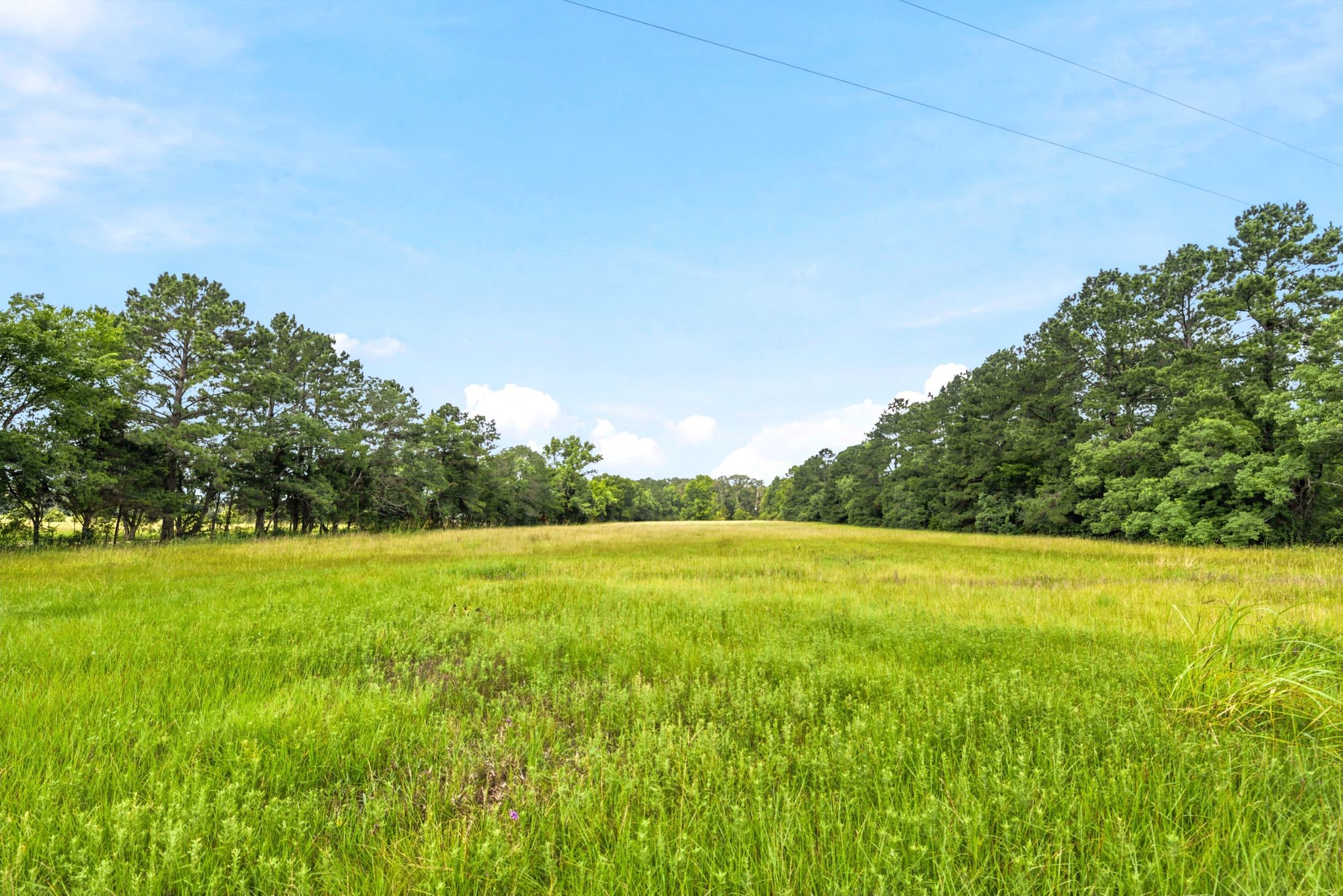 Lot 1 Mount Zion Road Property Photo 15