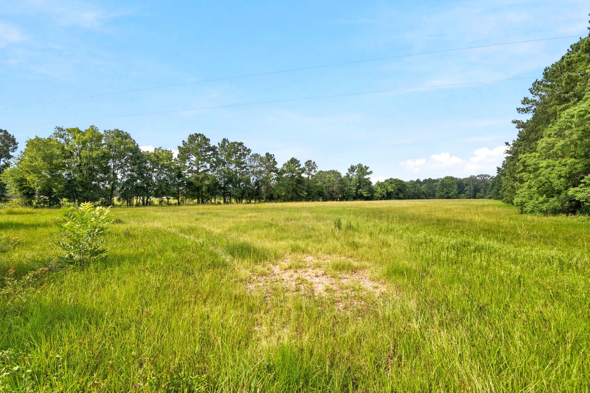 Lot 1 Mount Zion Road Property Photo 16