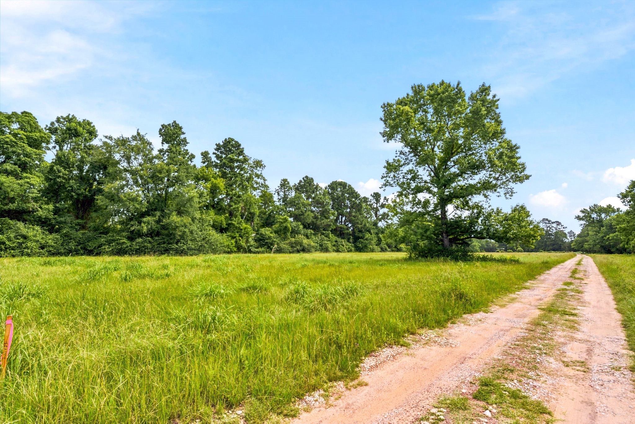 Lot 1 Mount Zion Road Property Photo 17