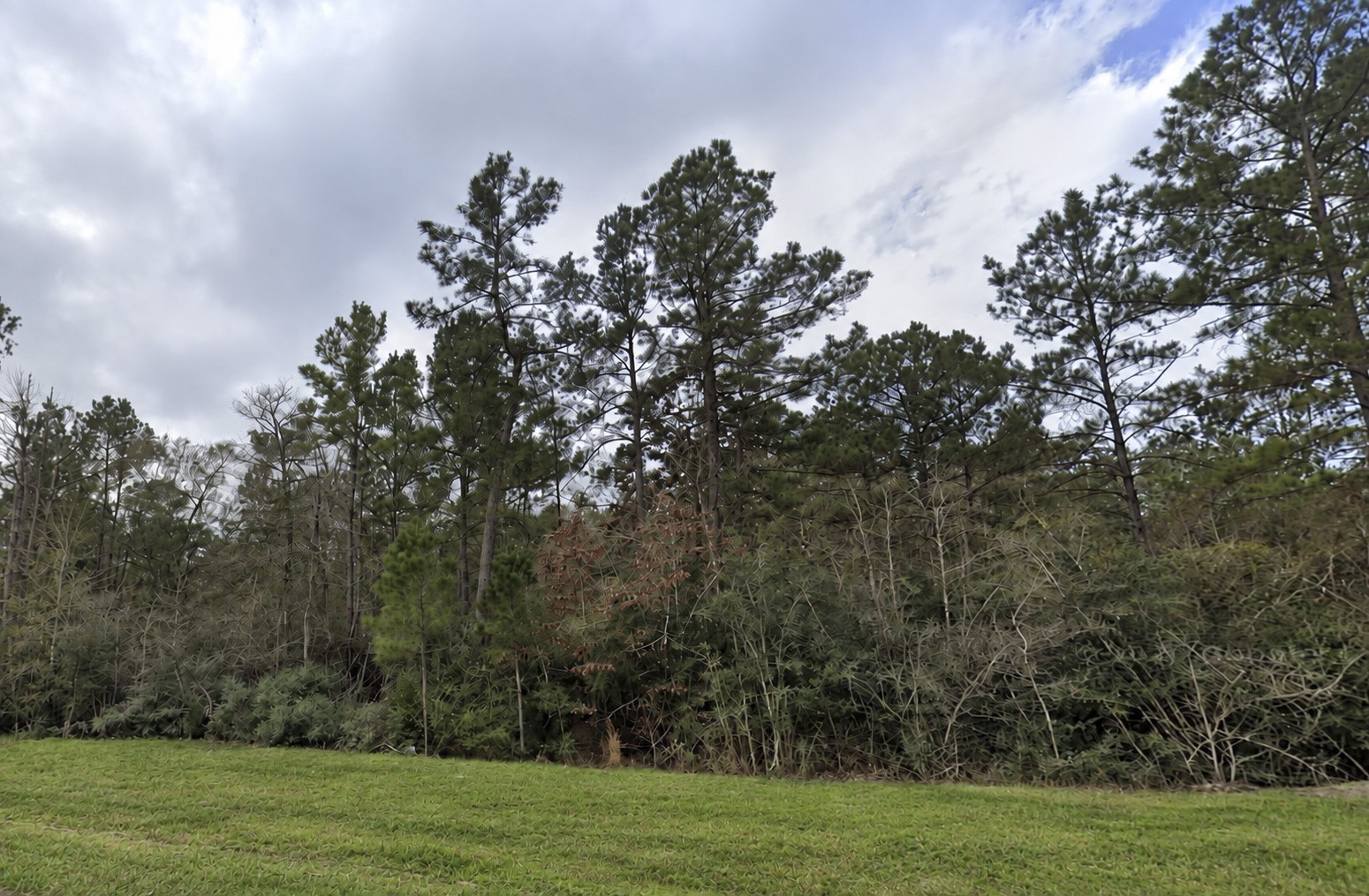15273 Forest Grove Drive Property Photo 3