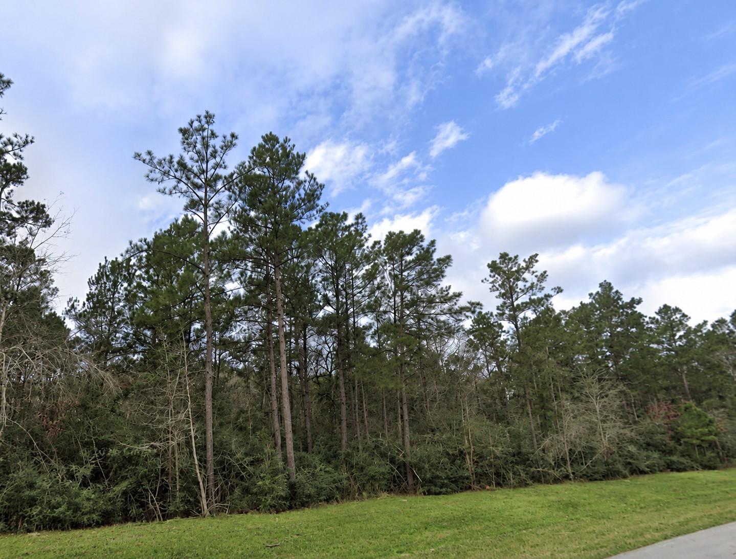 15273 Forest Grove Drive Property Photo 4