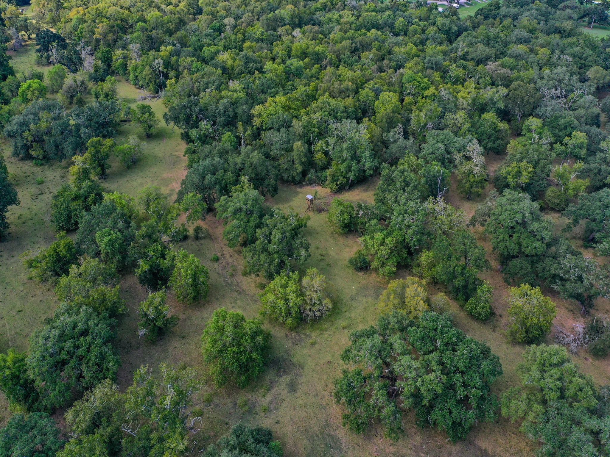 000 Tx-35 Property Photo 6