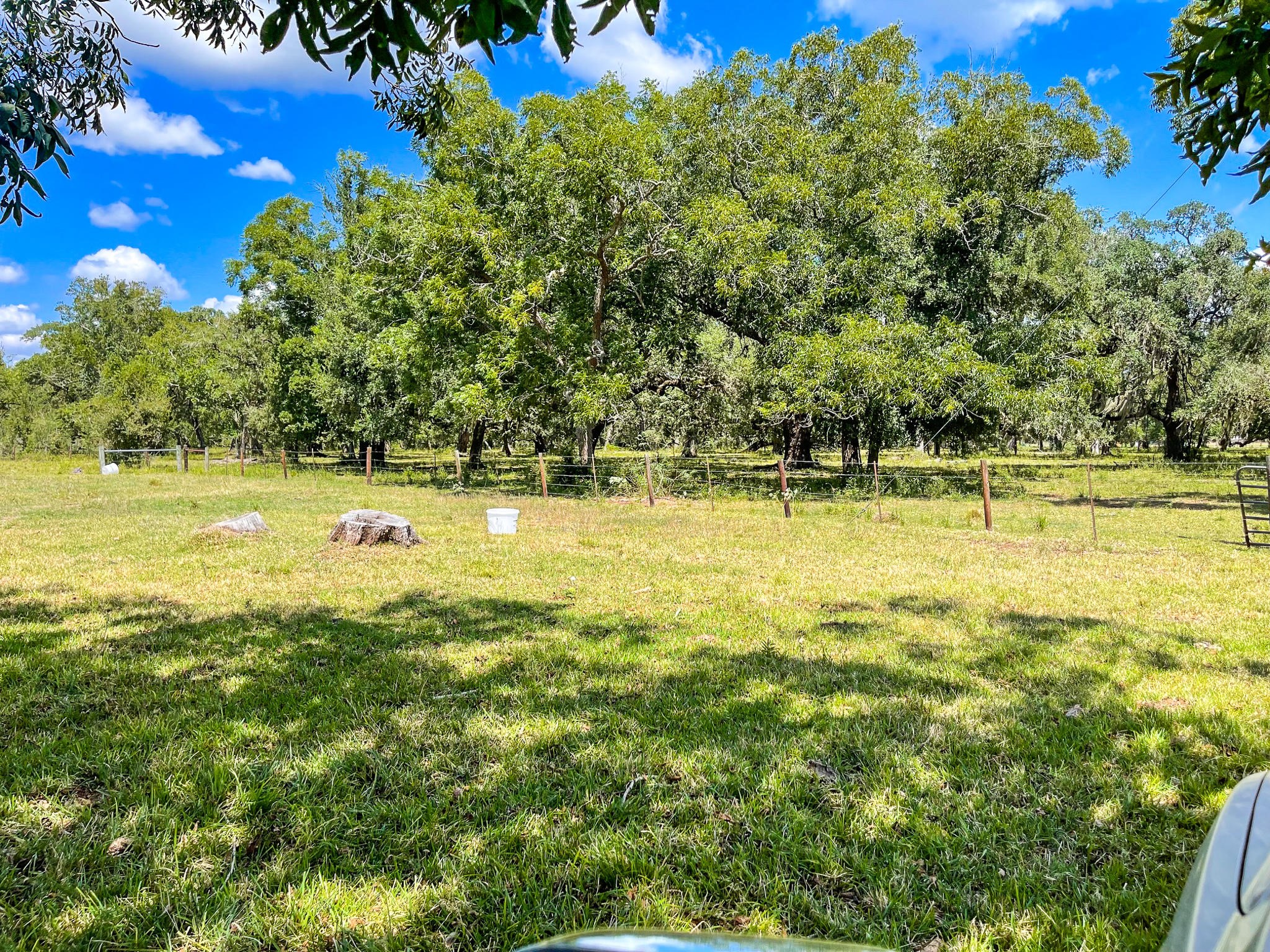 000 Tx-35 Property Photo 17