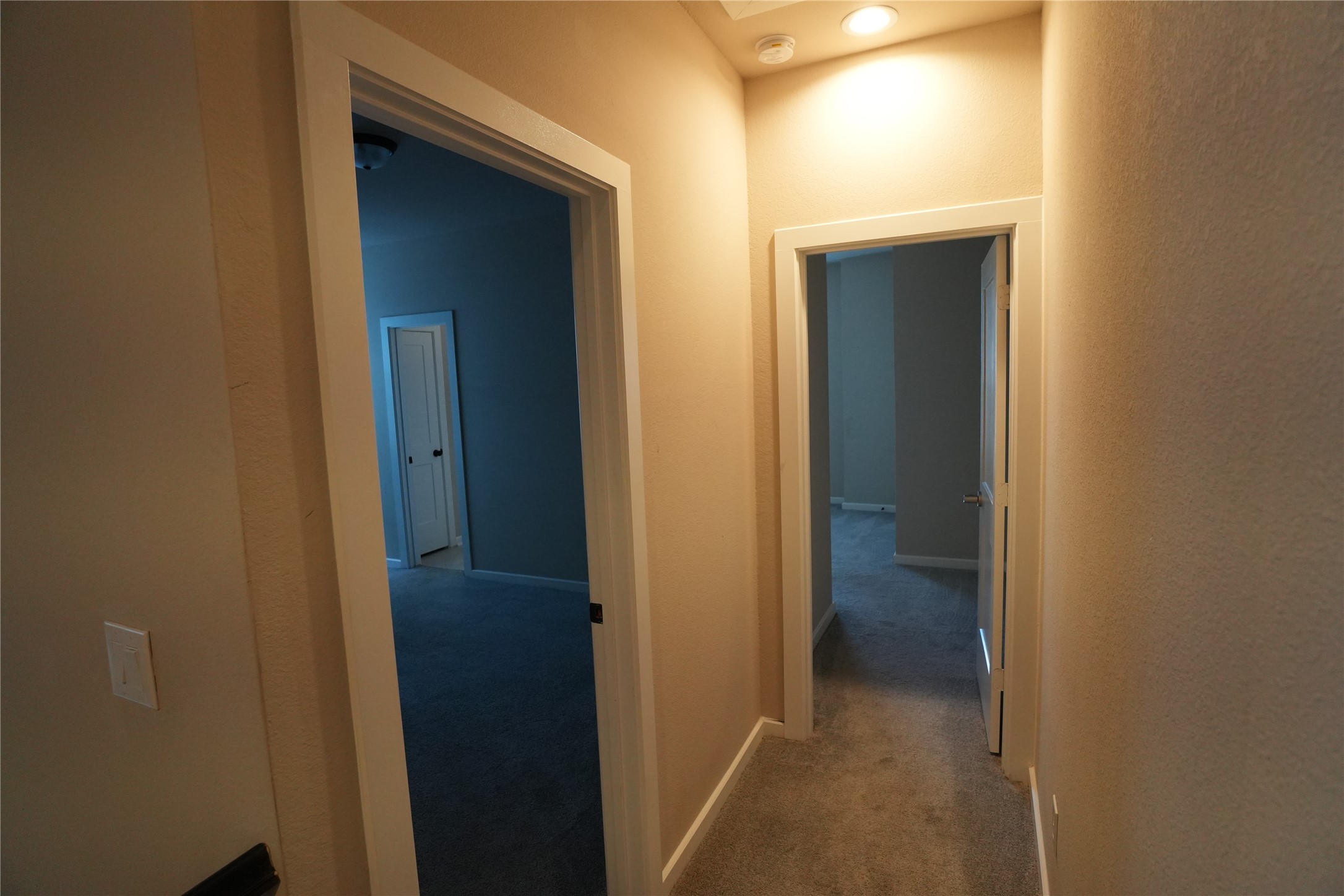 4910 Anders Lane Property Photo 19