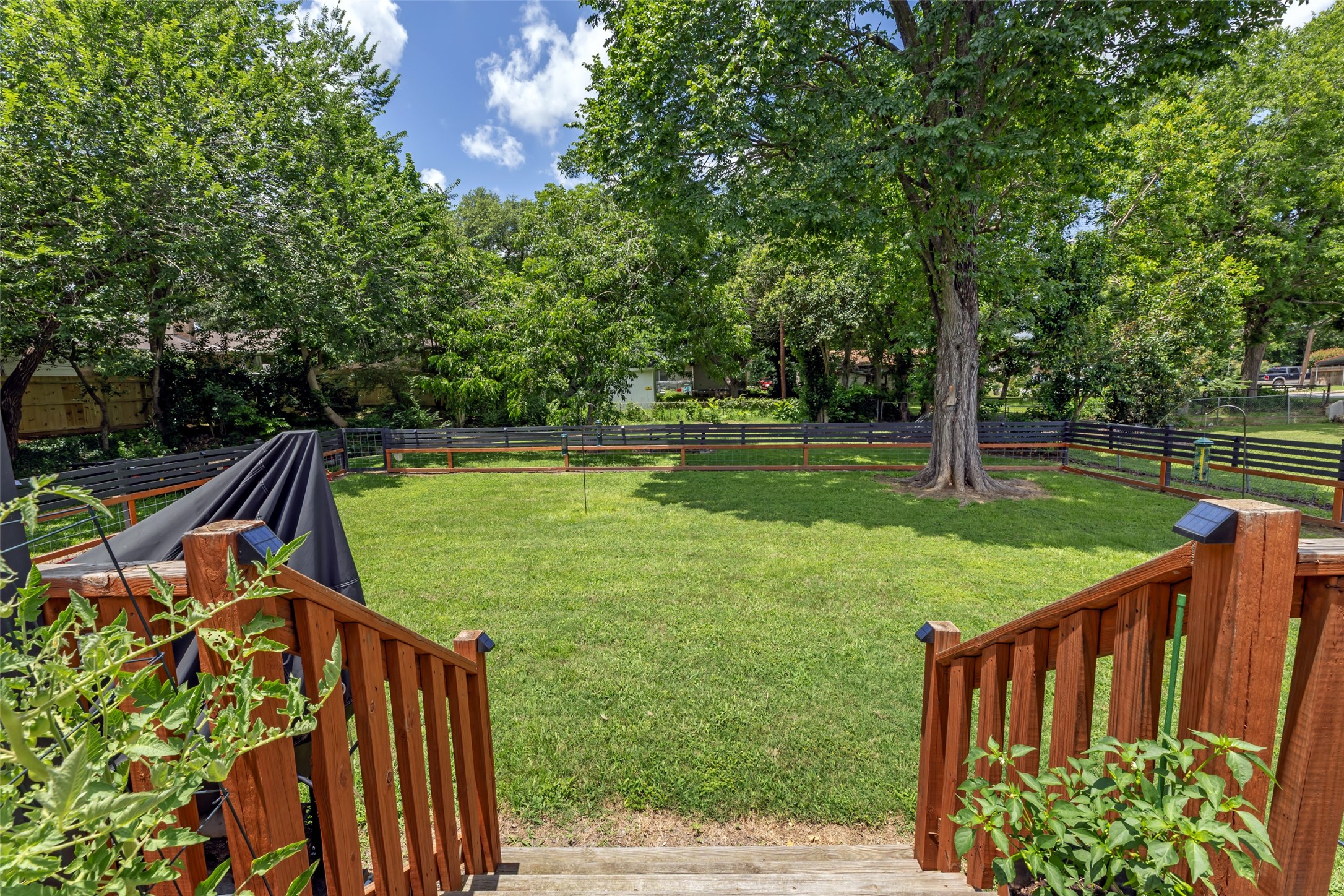 502 W Fawn Street Property Photo 24