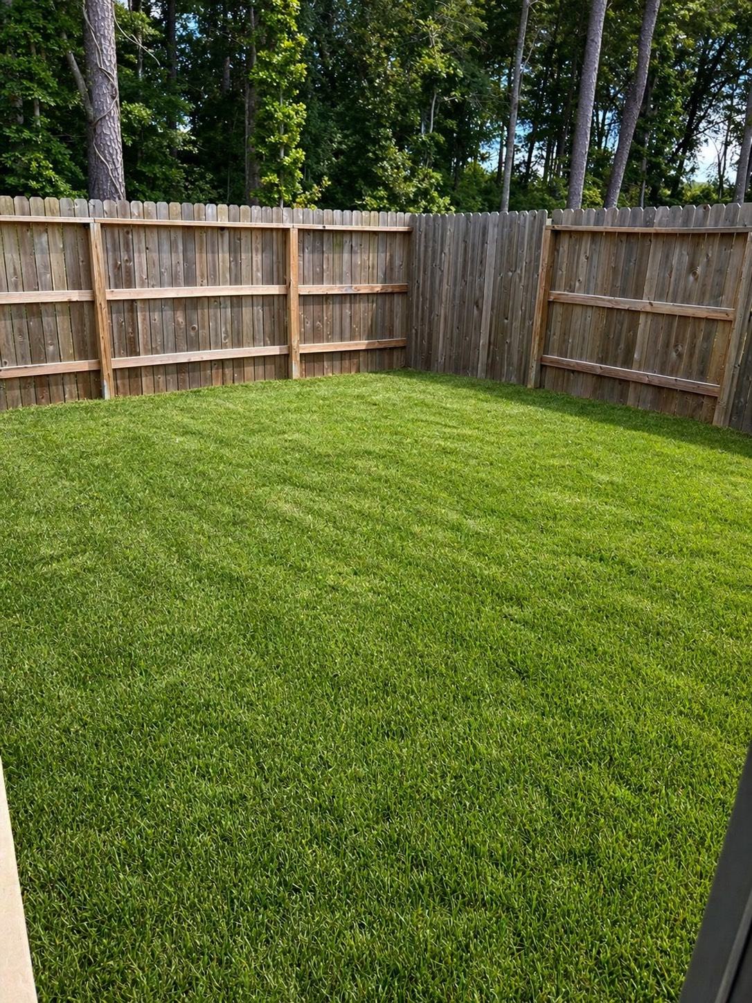 22724 Hackberry Leaf Drive Property Photo 6