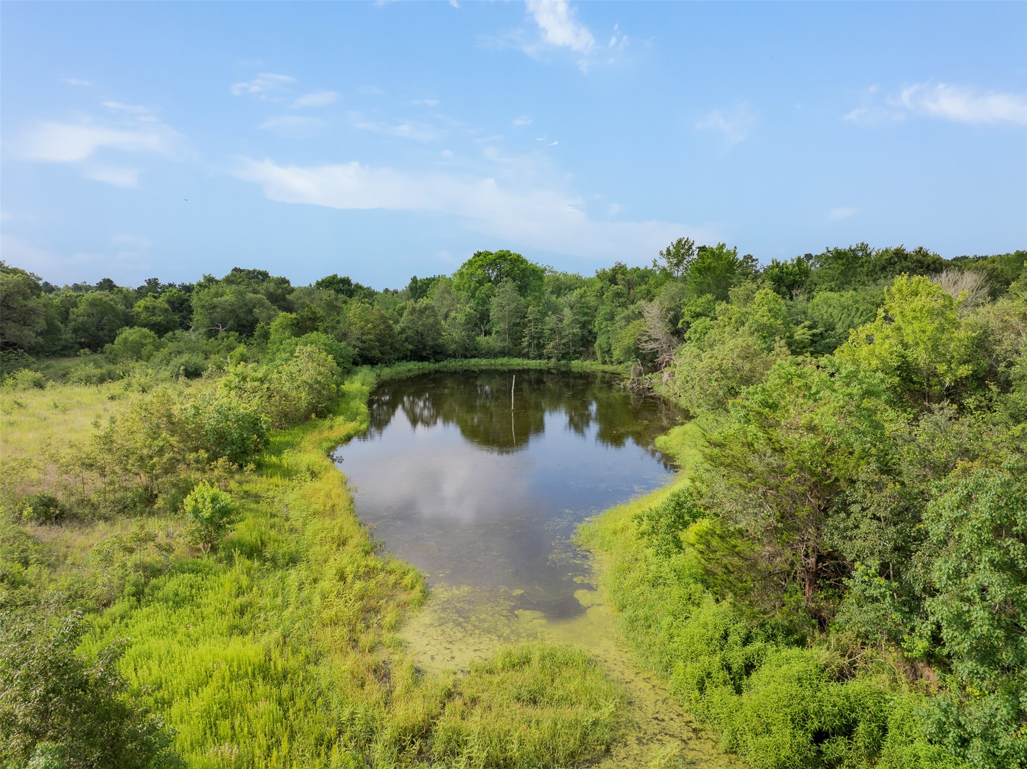 1338 Hwy 237 Property Photo 3