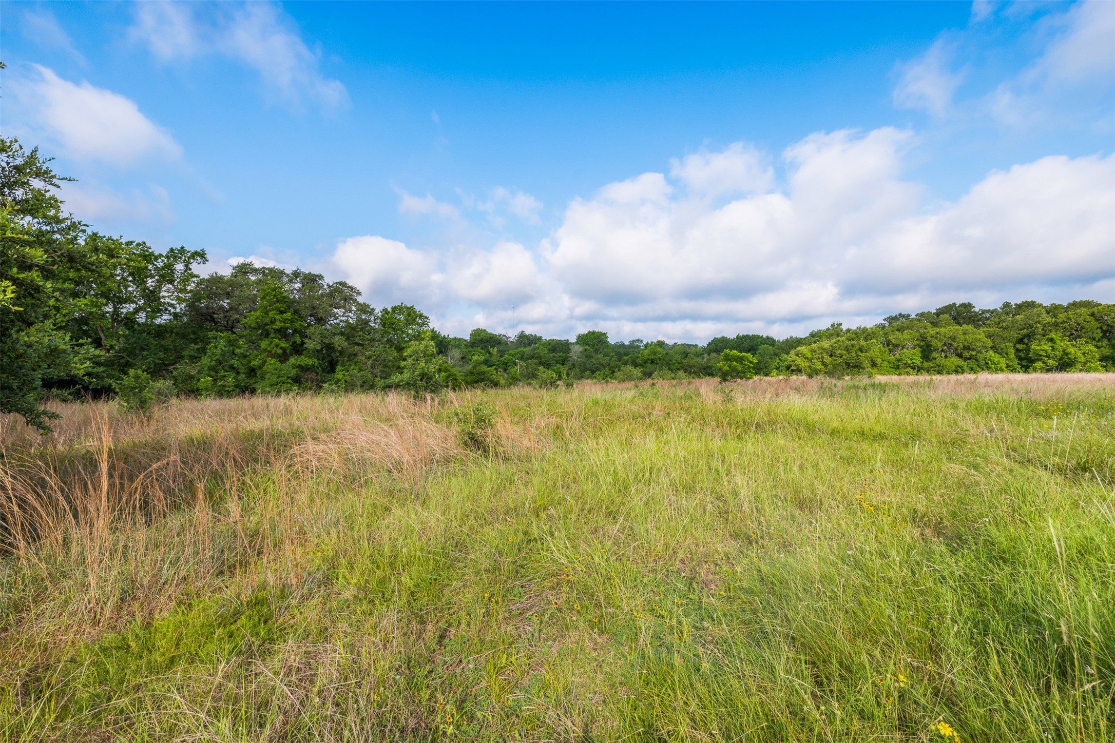 1338 Hwy 237 Property Photo 4
