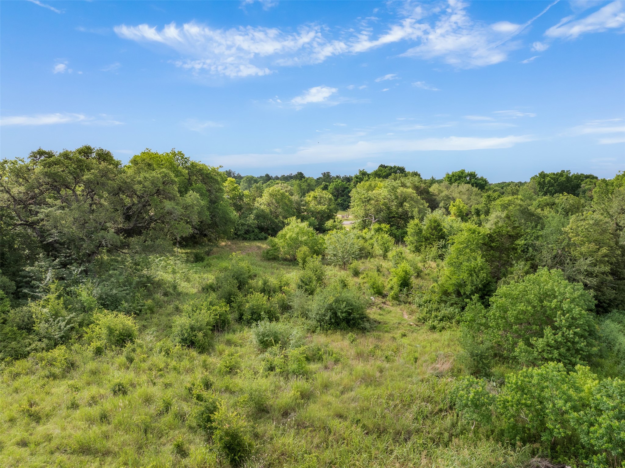 1338 Hwy 237 Property Photo 5