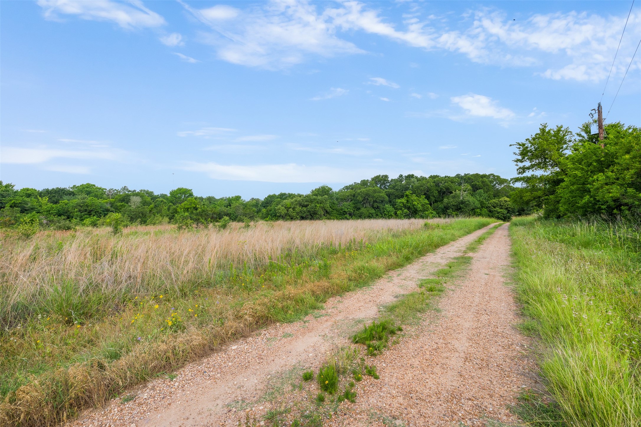 1338 Hwy 237 Property Photo 6