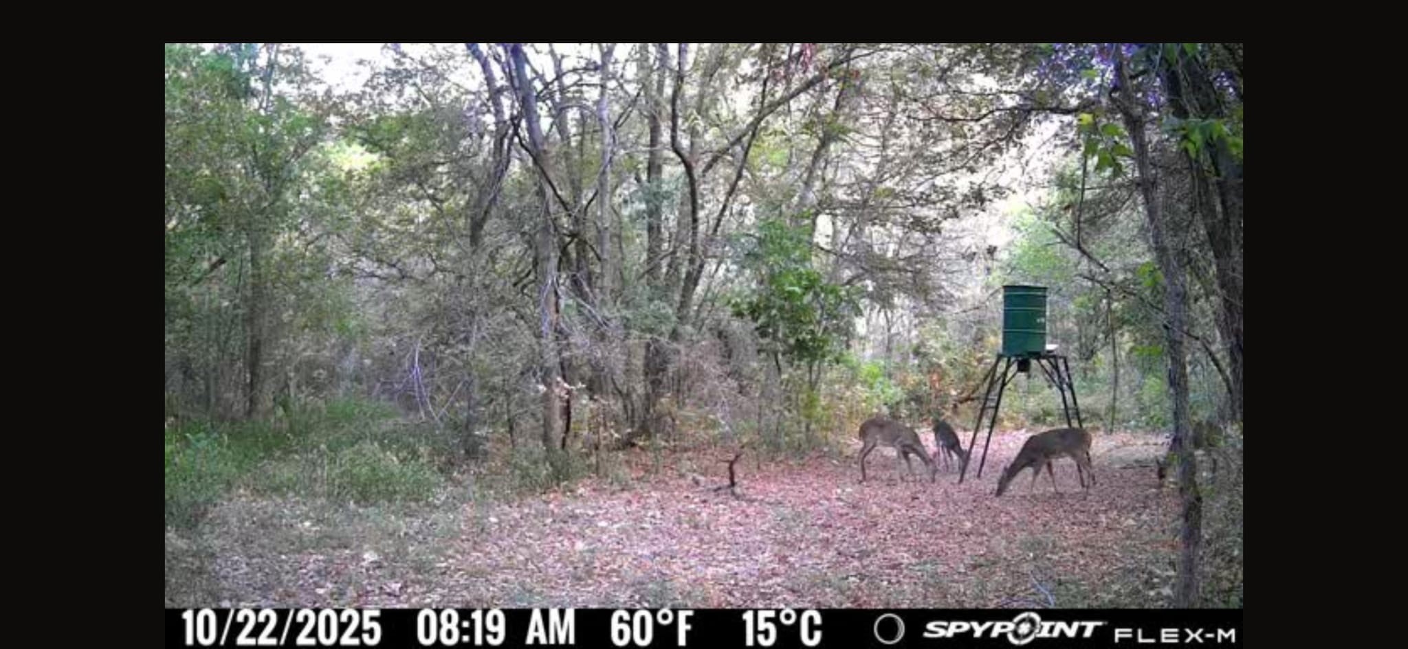 00 Fm 671 Property Photo 22