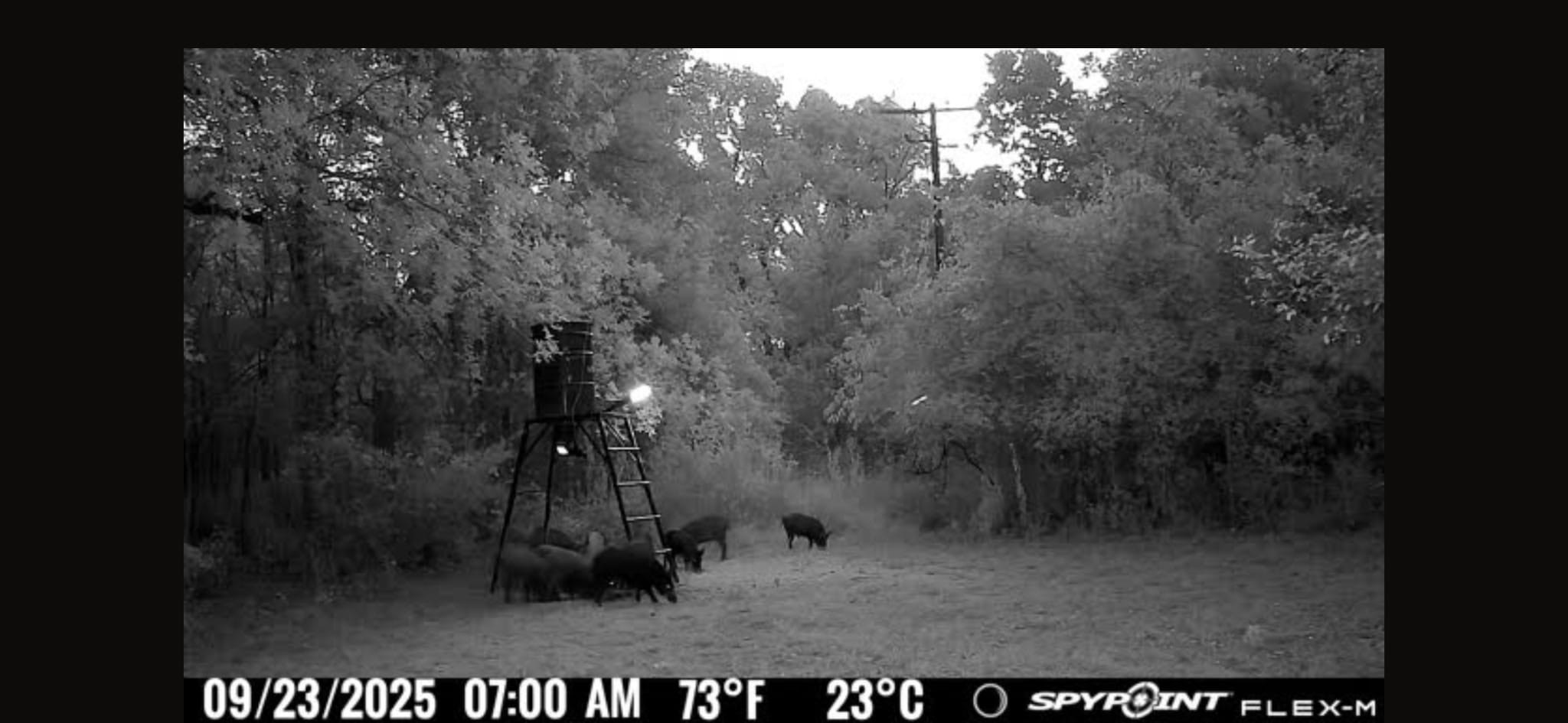 00 Fm 671 Property Photo 23