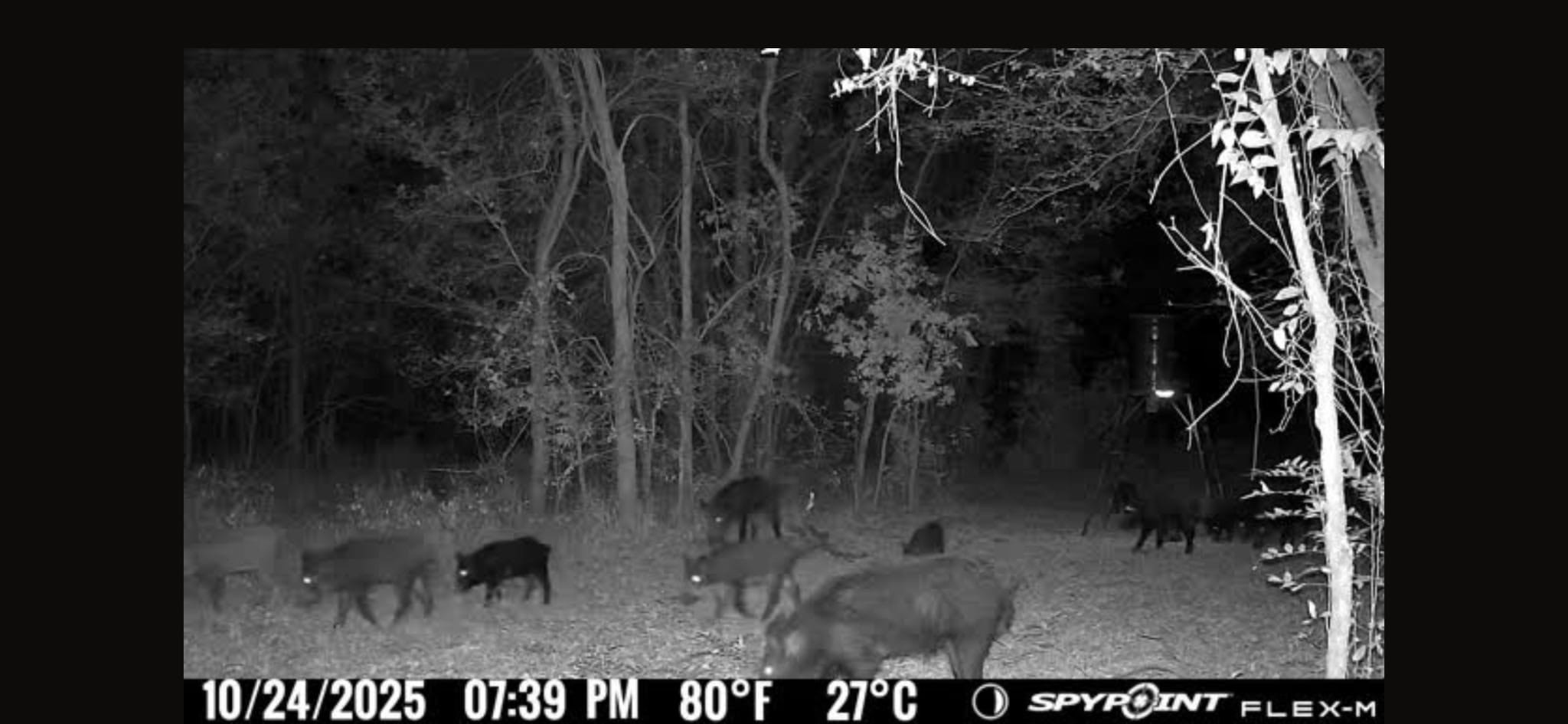 00 Fm 671 Property Photo 25