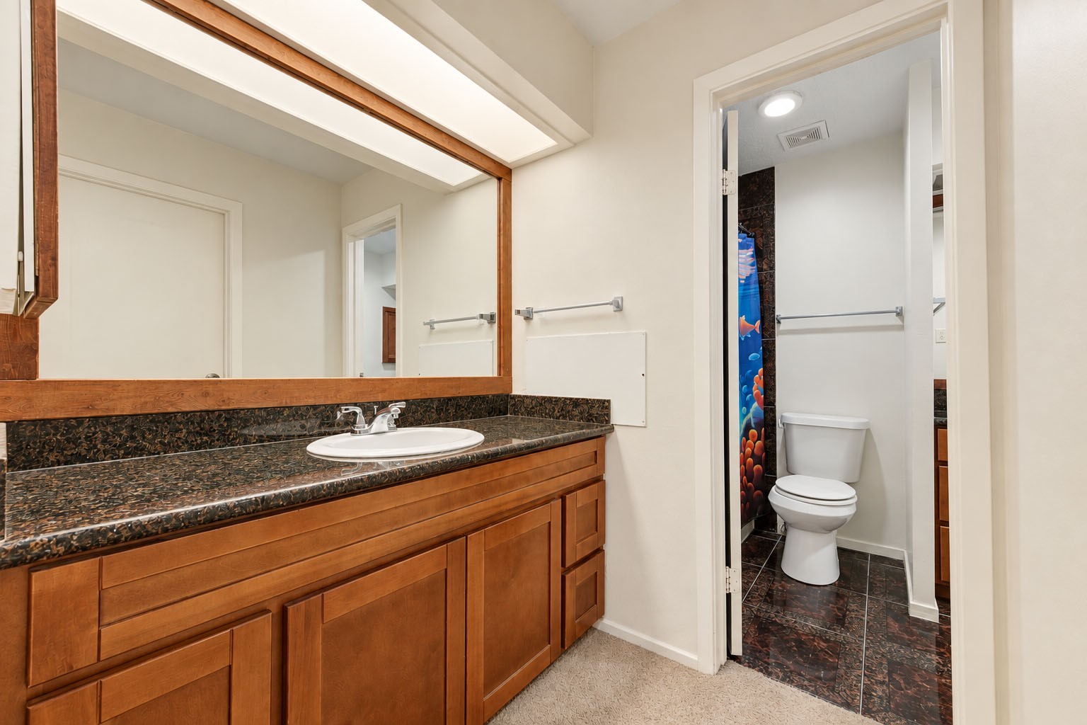 11315 Featherstar Lane Property Photo 34