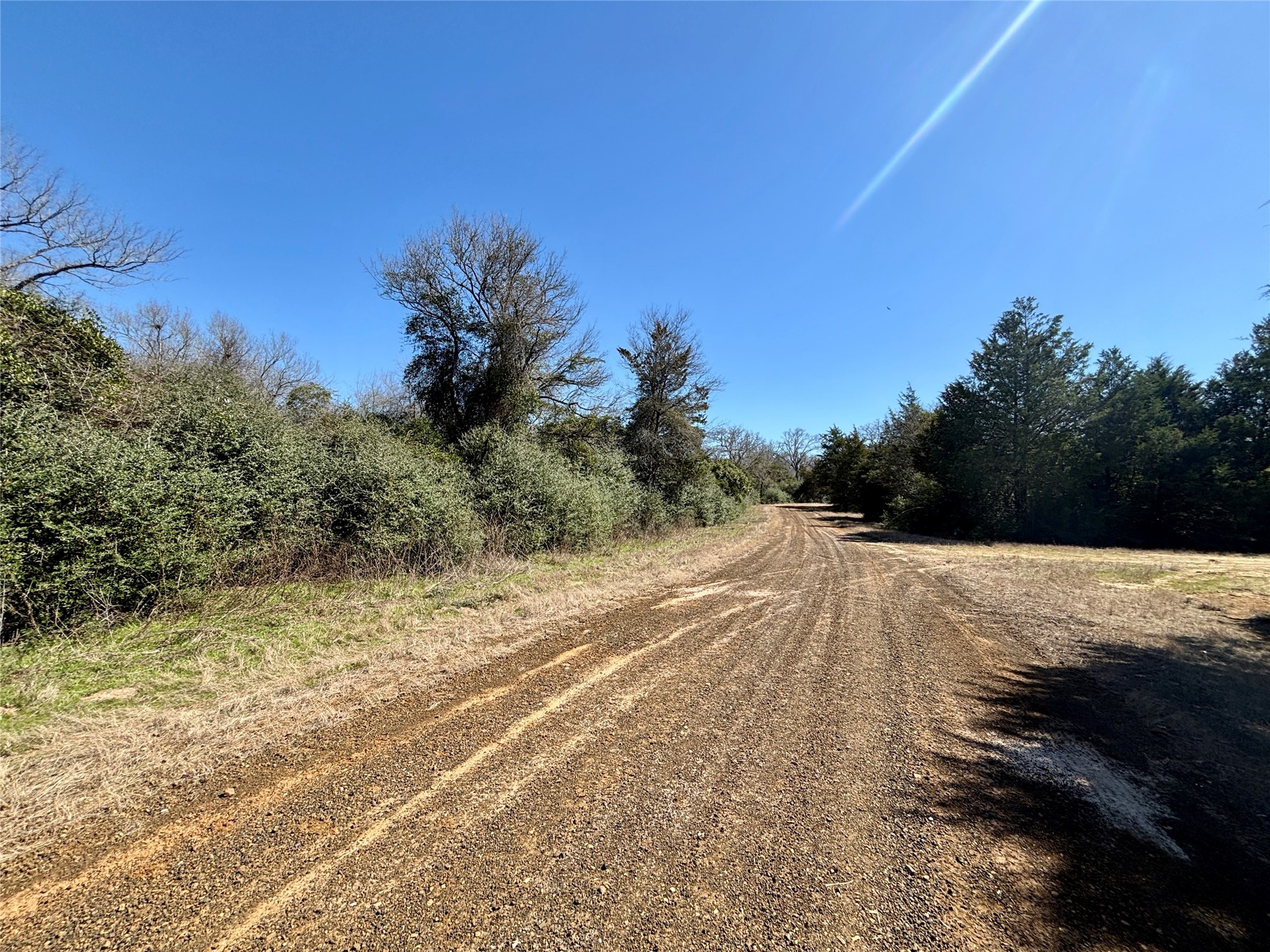Tbd Sycamore Branch Road Property Photo