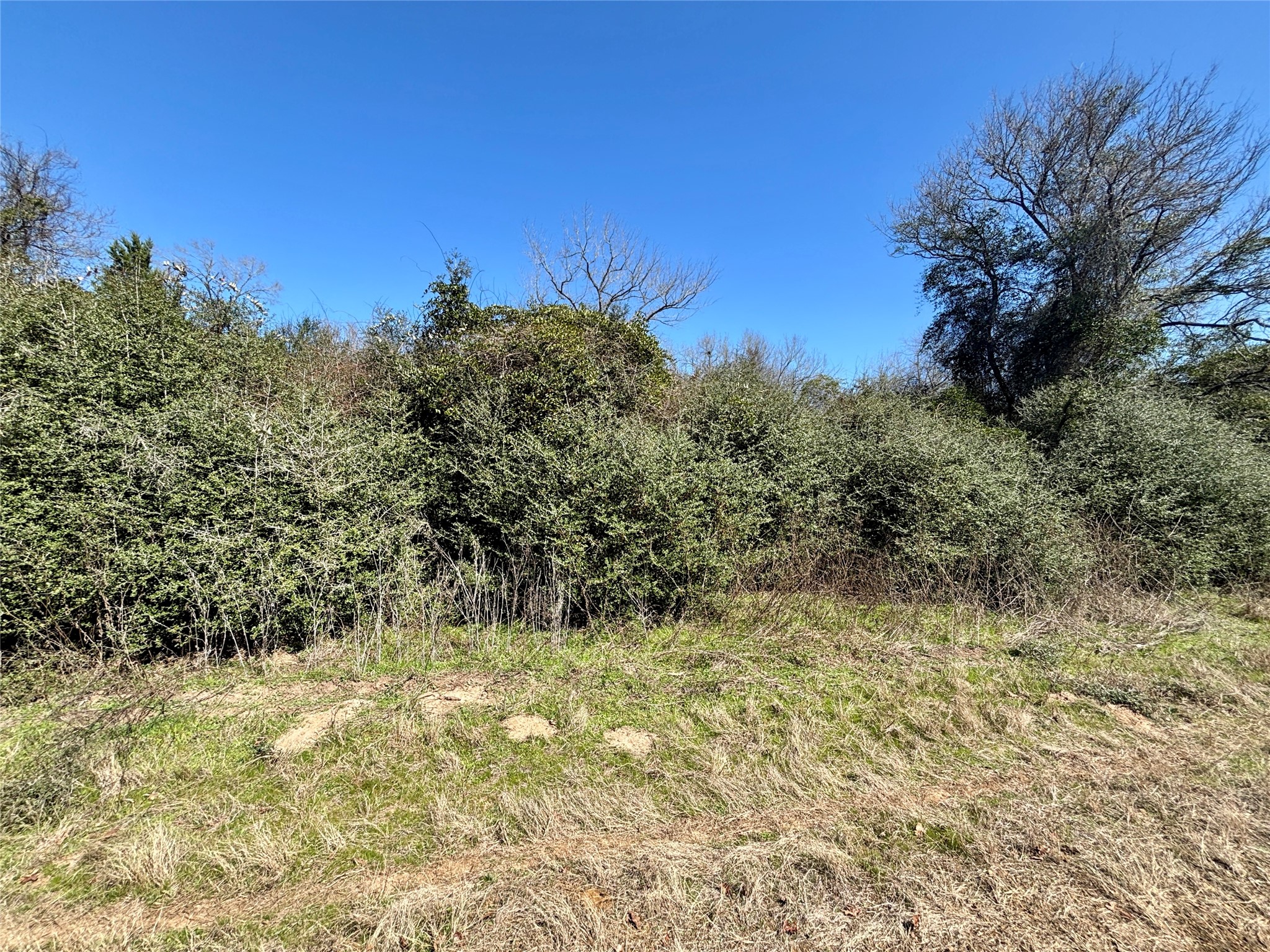 Tbd Sycamore Branch Road Property Photo 1
