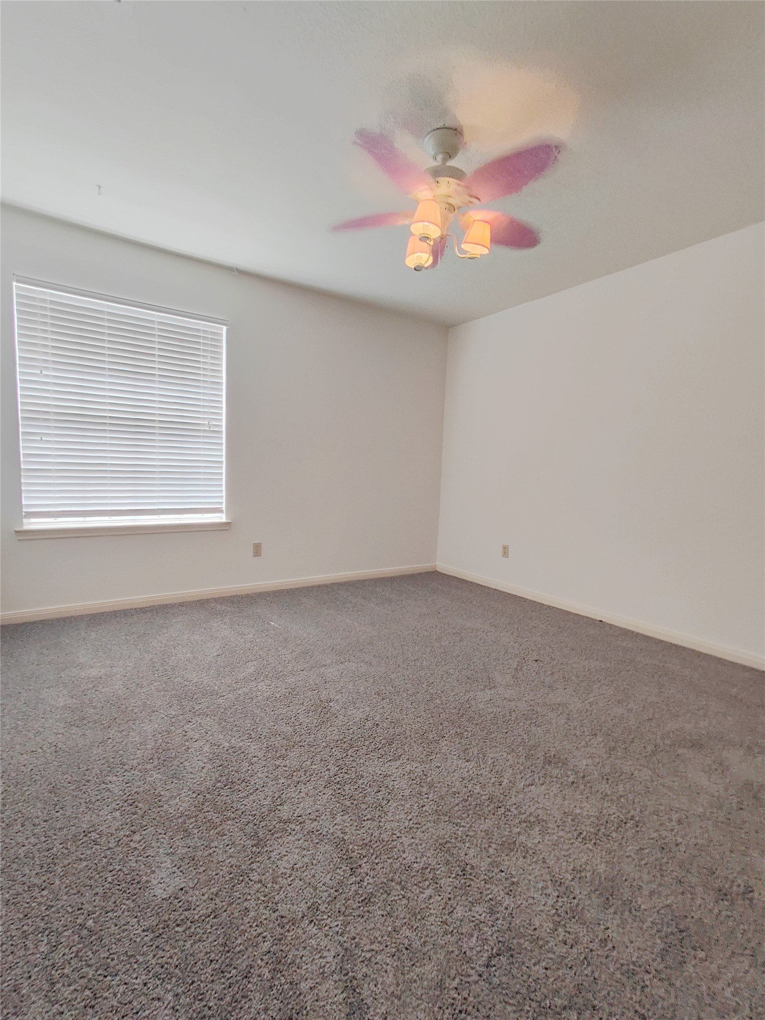 5019 Greenriver Valley Drive Property Photo 14