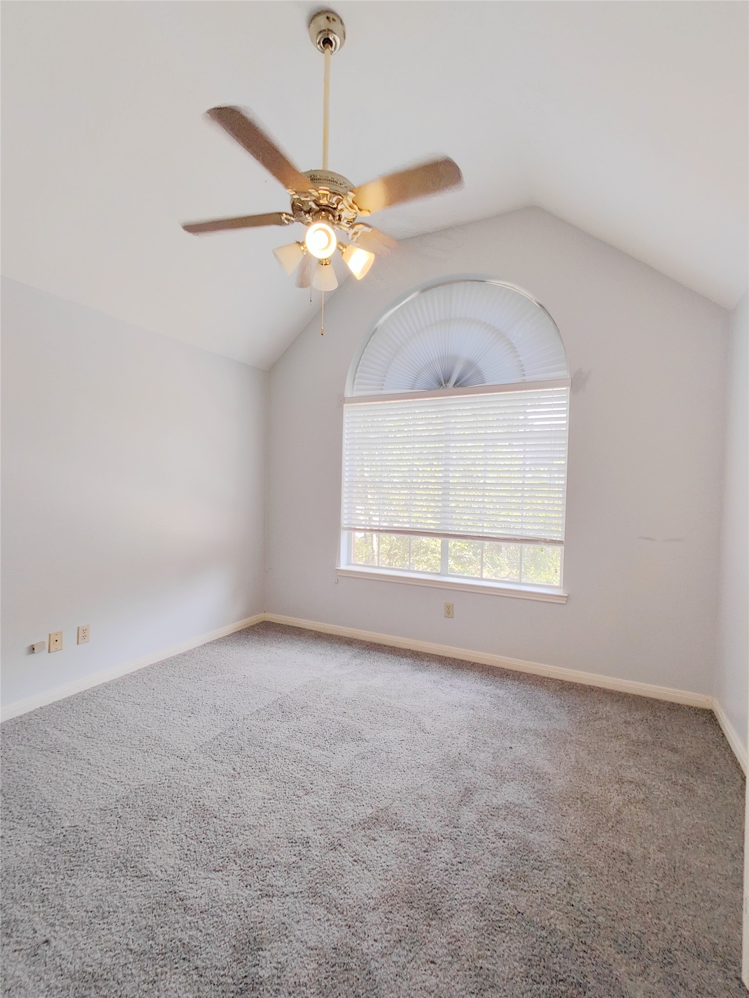 5019 Greenriver Valley Drive Property Photo 19